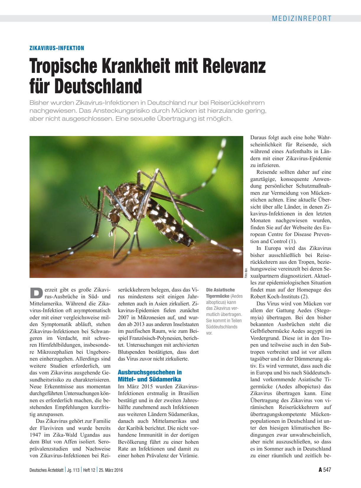 Vorschauseite 1: ZikaVirus-Infektion: Tropische Krankheit mit Relevanz für Deutschland