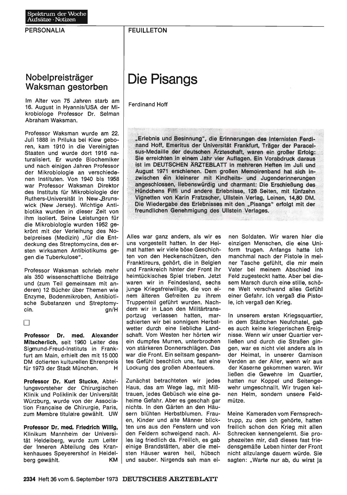 Vorschauseite 1: Die Pisangs