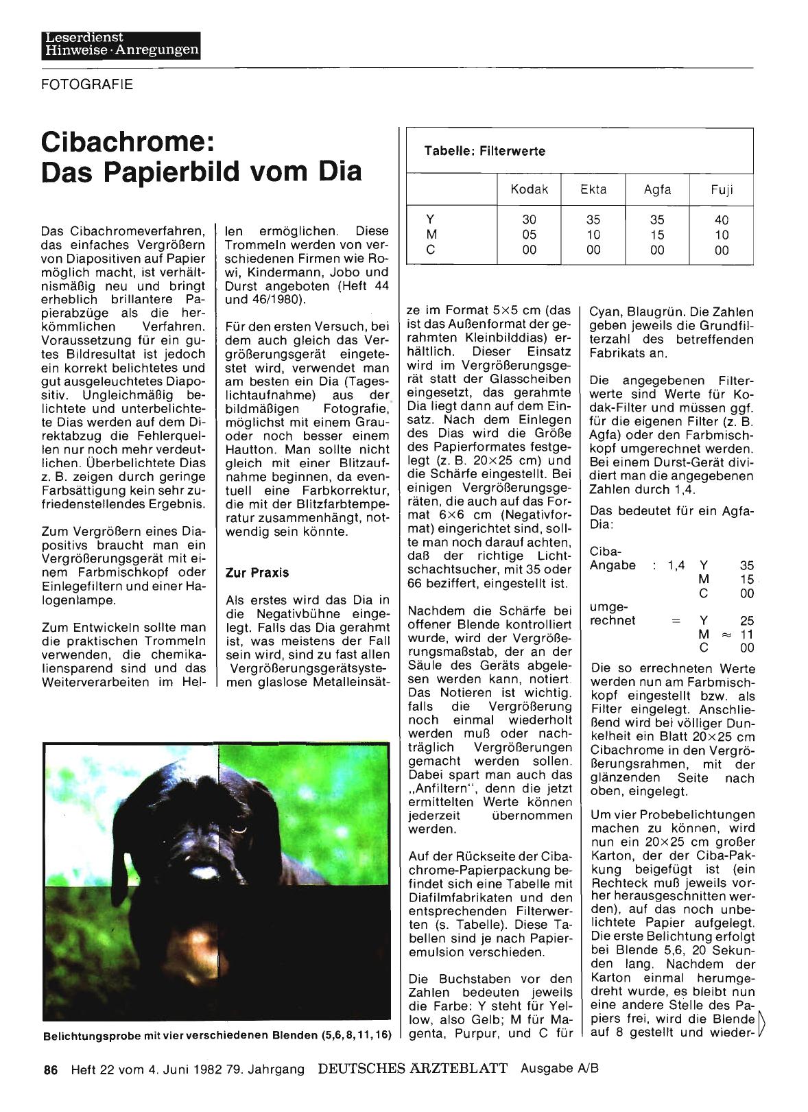 Vorschauseite 1: Cibachrome: Das Papierbild vom Dia