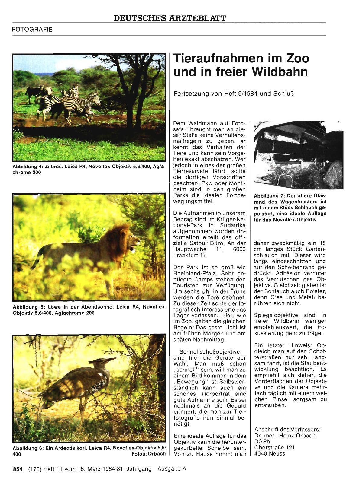 Vorschauseite 1: Tieraufnahmen im Zoo und in freier Wildbahn