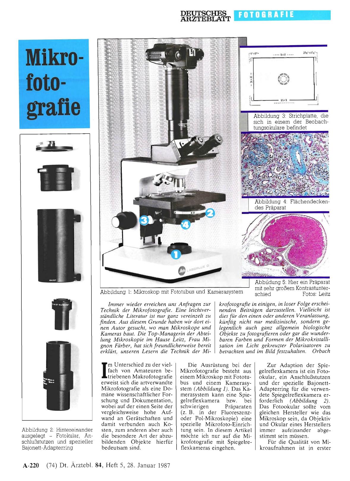 Vorschauseite 1: Mikrofotografie - Reflexschirm