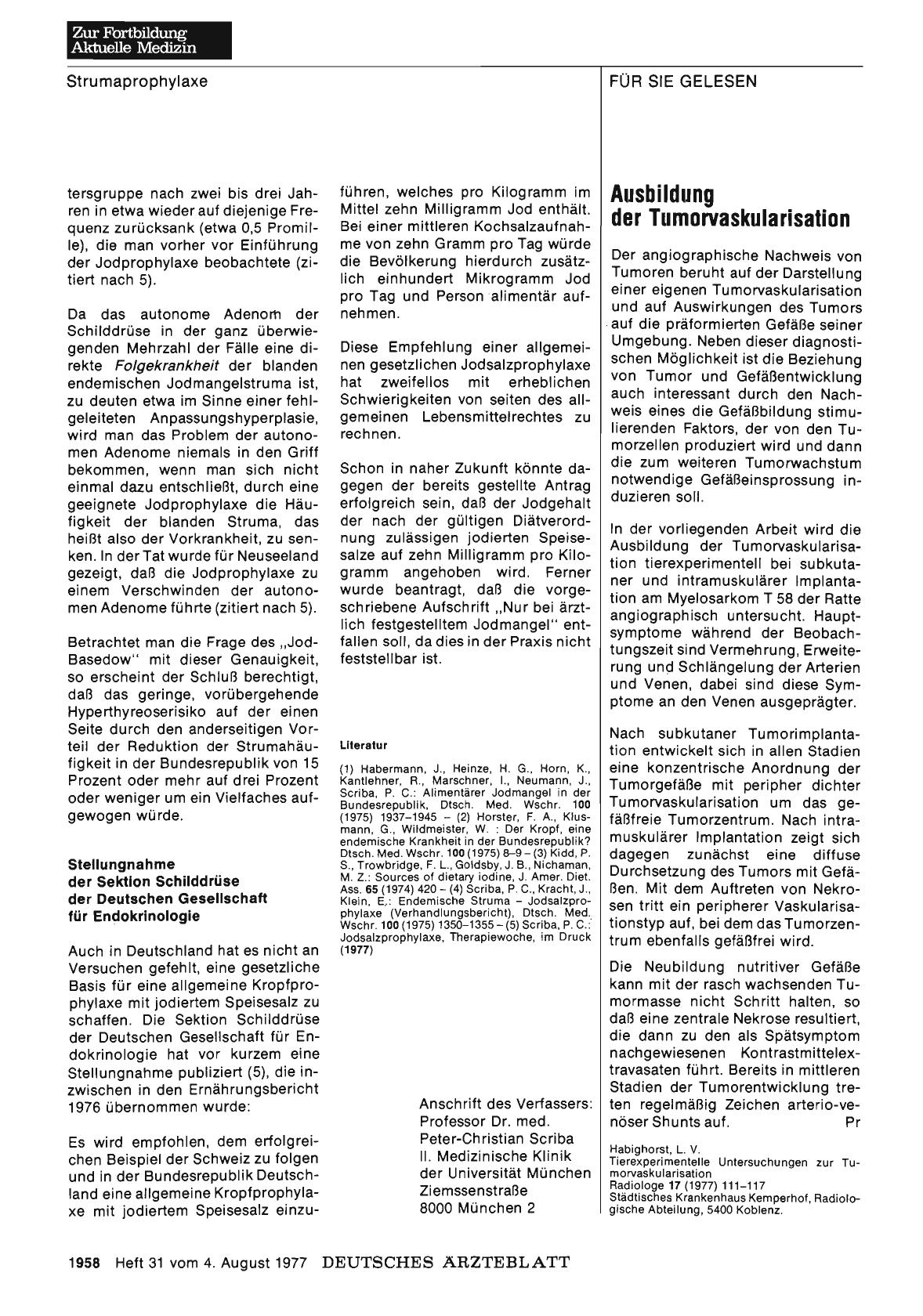 Vorschauseite 1: Ausbildung der Tumorvaskularisation