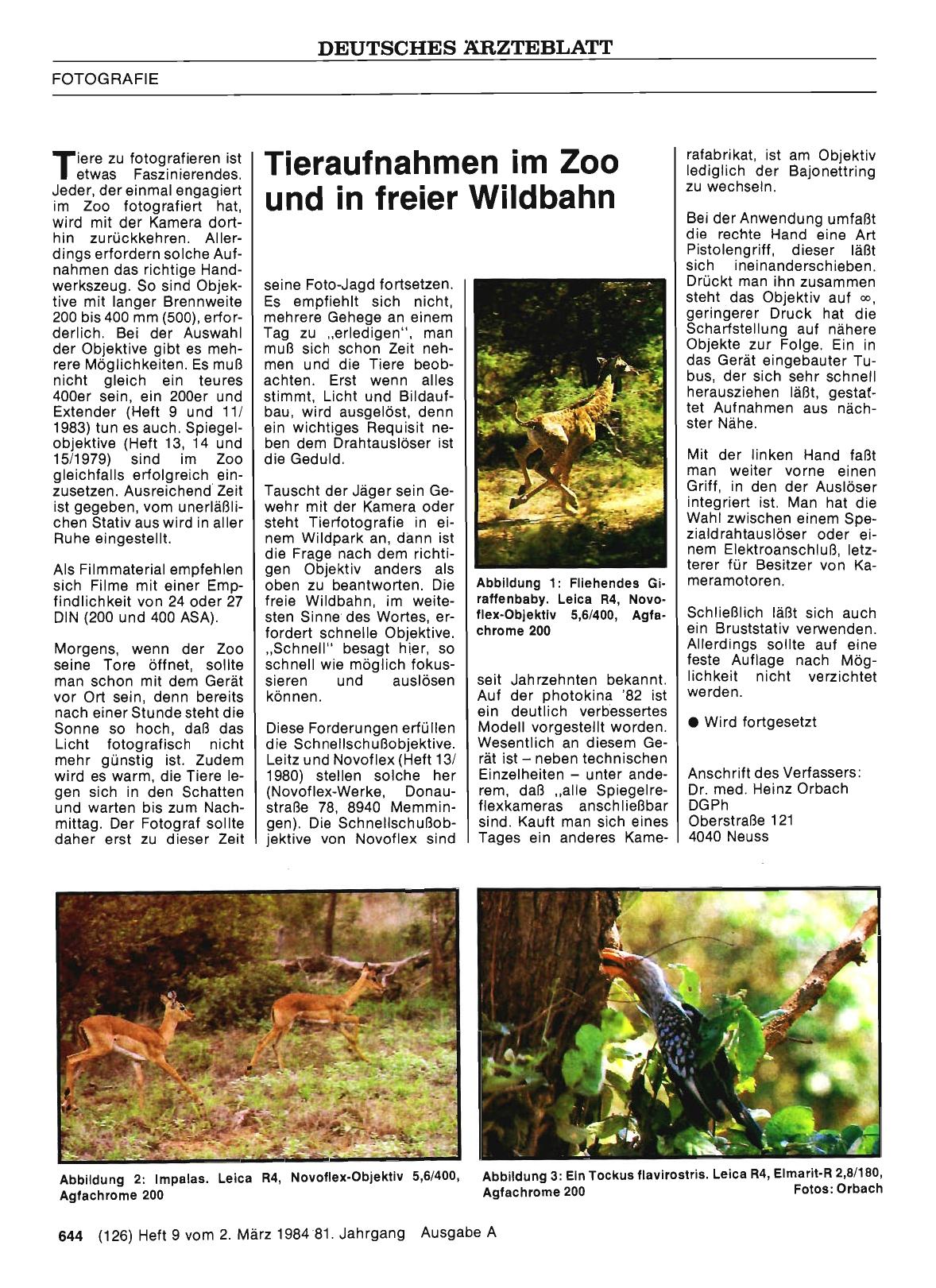 Vorschauseite 1: Tieraufnahmen im Zoo und in freier Wildbahn