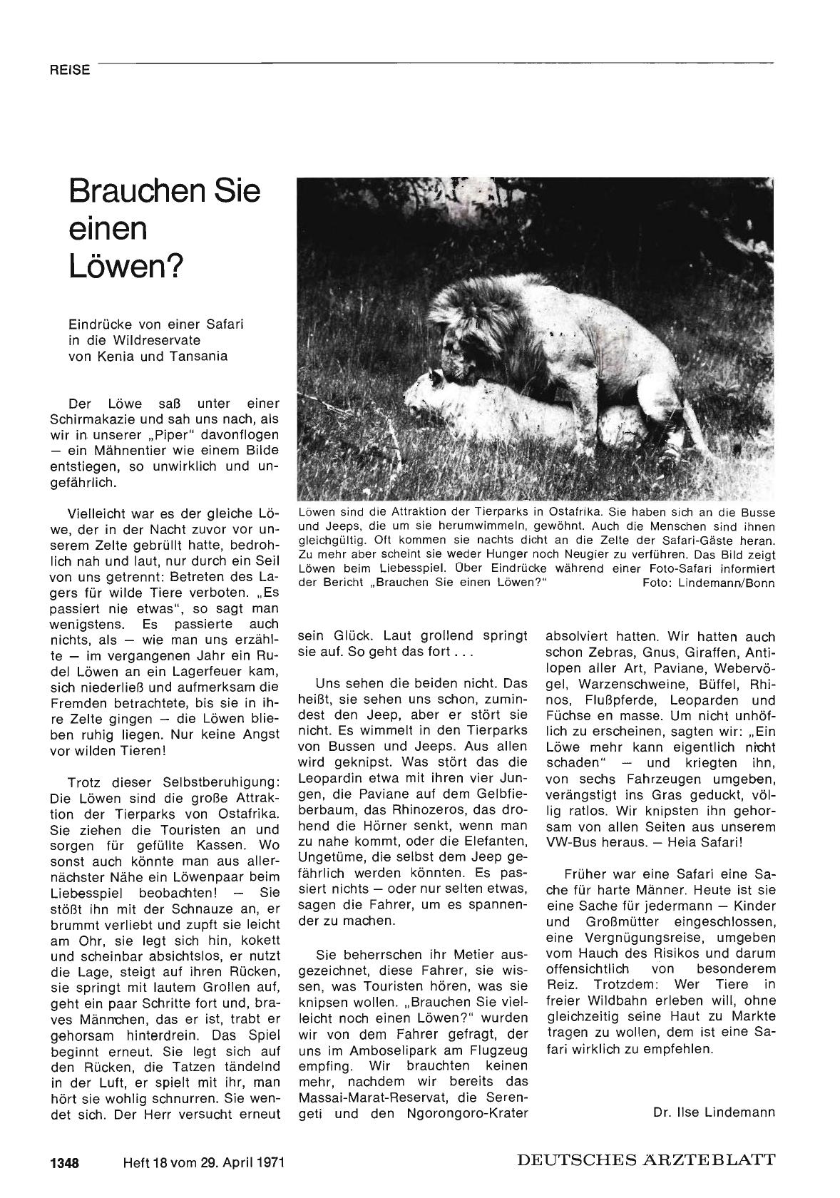 Vorschauseite 1: Brauchen Sie einen Löwen?