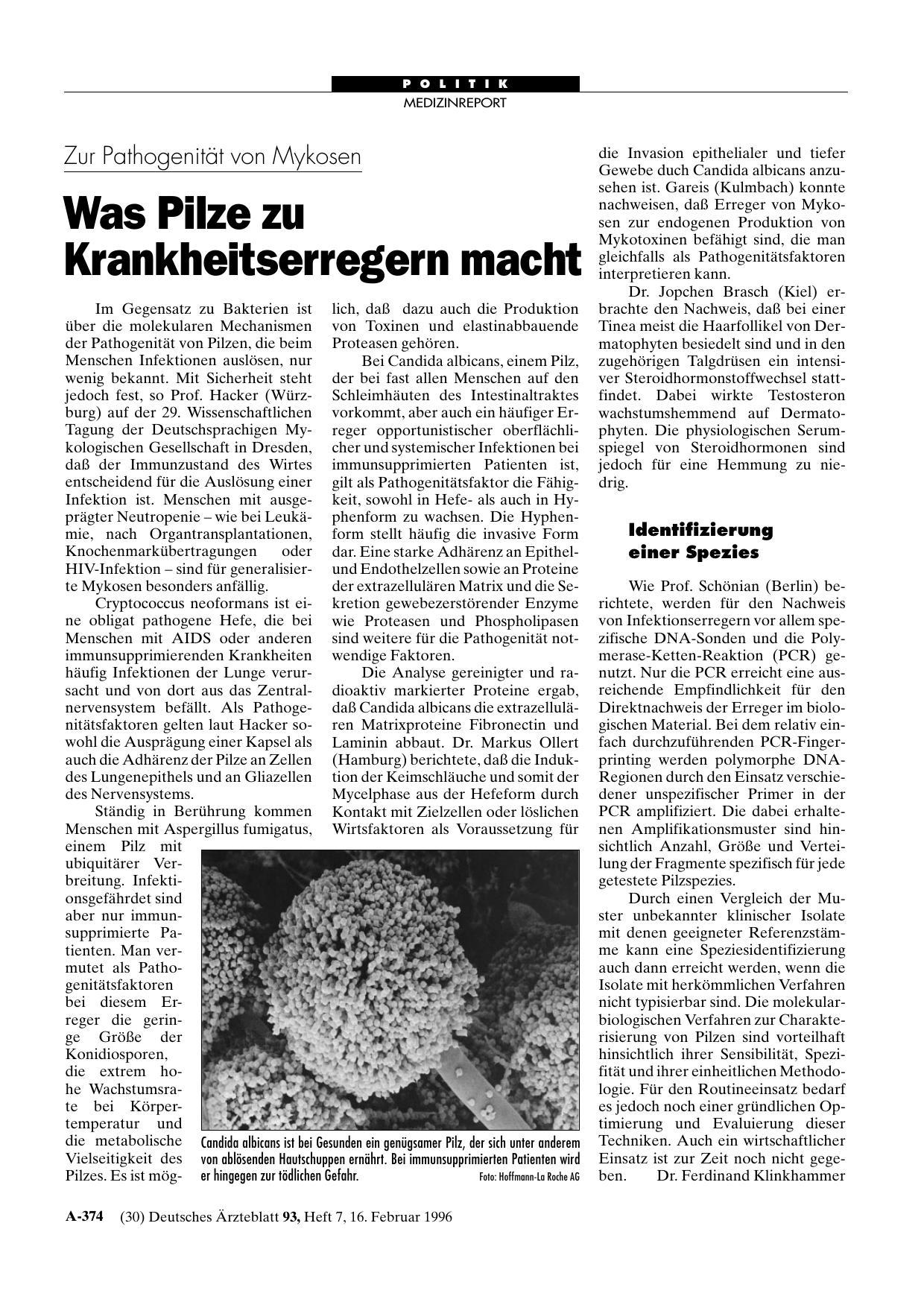 Vorschauseite 1: Zur Pathogenität von Mykosen: Was Pilze zu Krankheitserregern macht