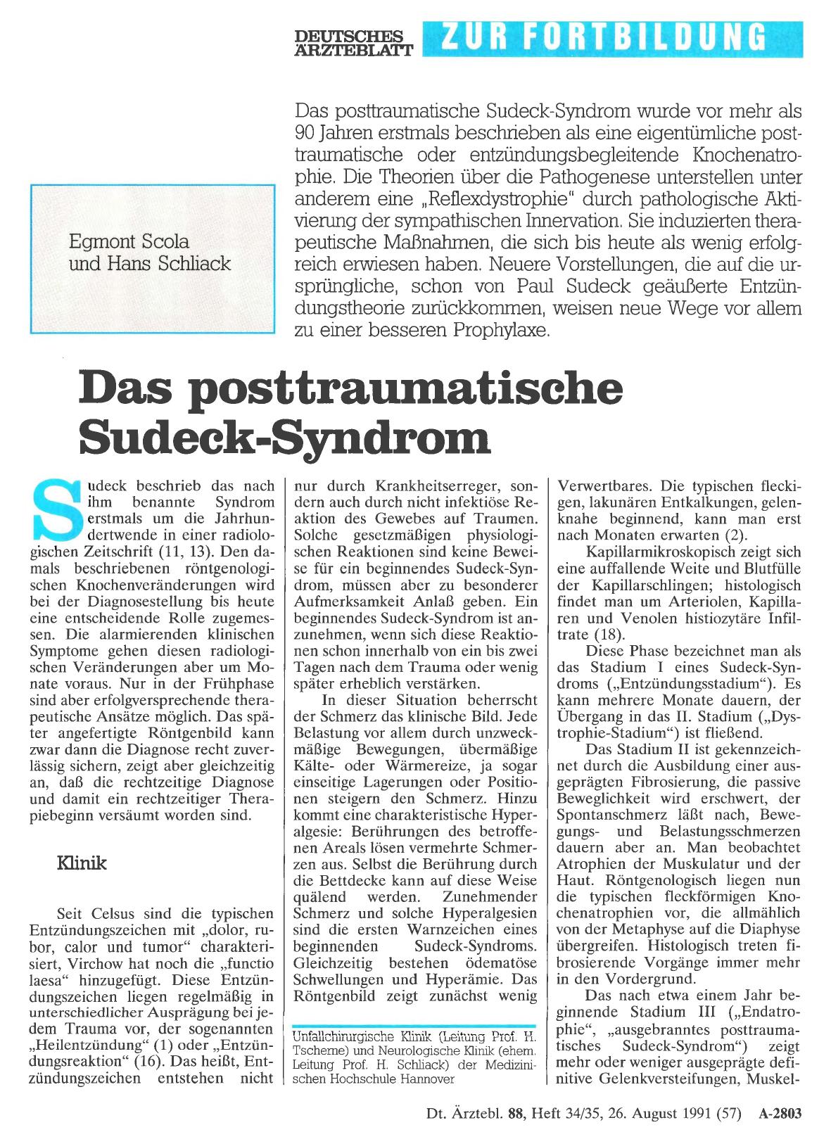 Vorschauseite 1: Das posttraumatische Sudeck-Syndrom