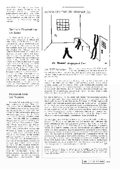 Vorschauseite 1: Humangenetisches Seminar (V): Das XYY-Syndrom