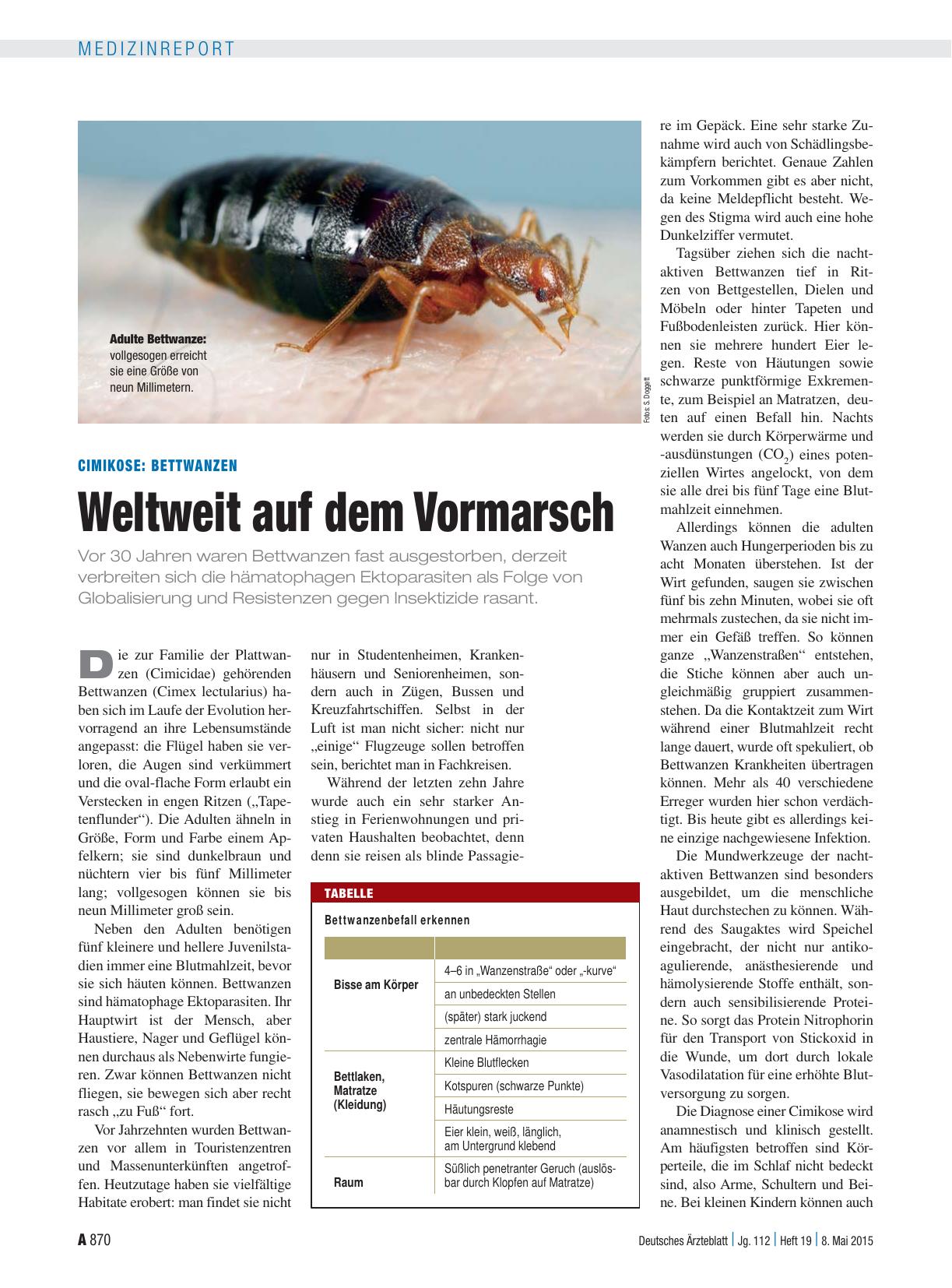Vorschauseite 1: Cimikose: Bettwanzen – Weltweit auf dem Vormarsch