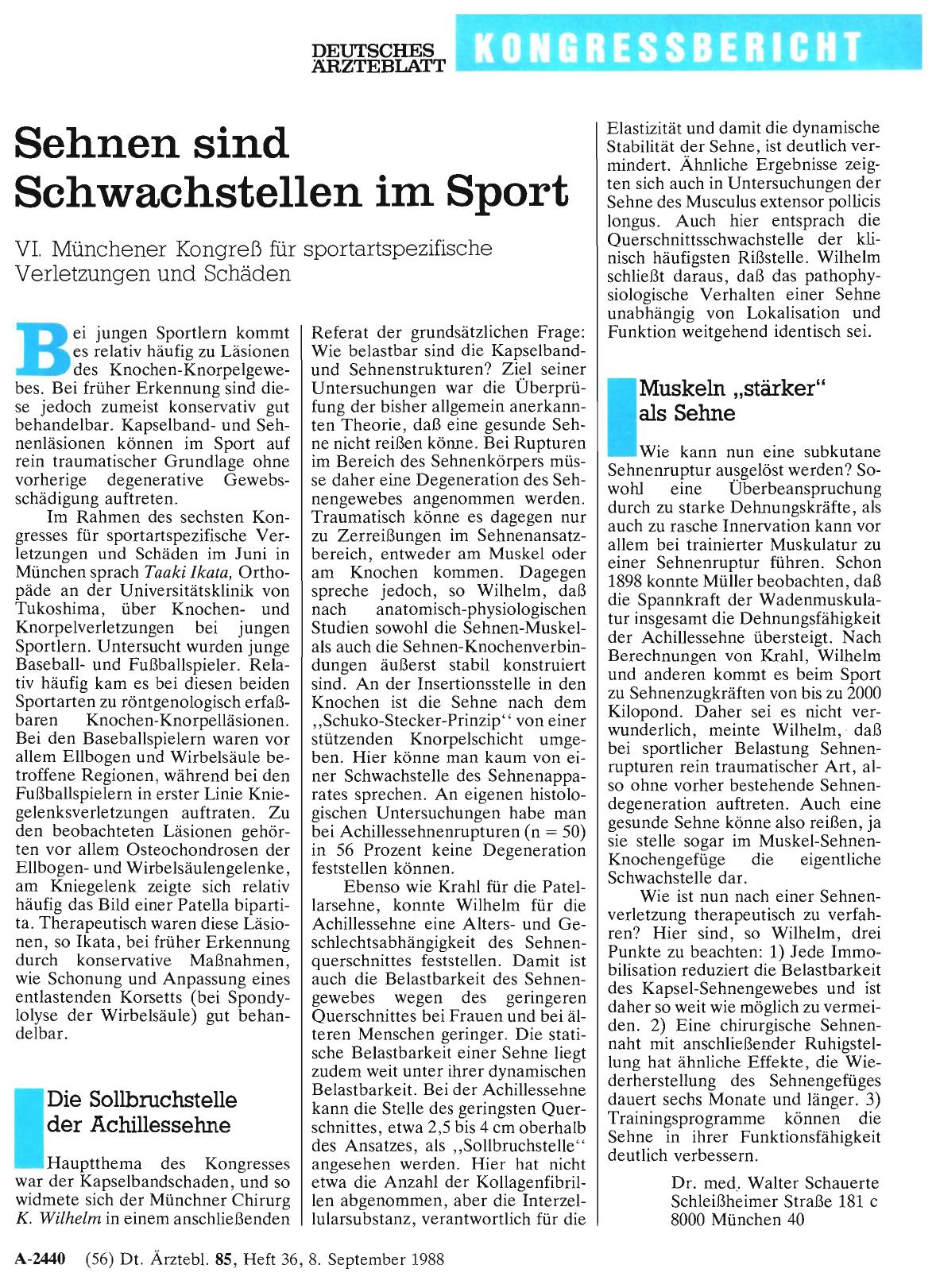 Vorschauseite 1: Sehnen sind Schwachstellen im Sport