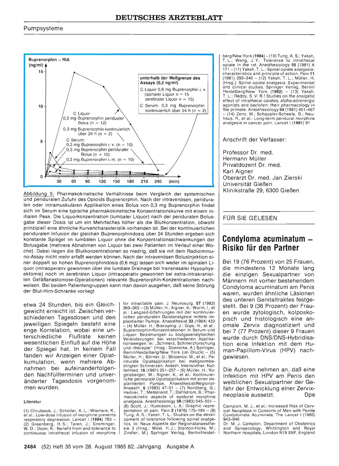 Vorschauseite 1: Condyloma acuminatum — Risiko für den Partner
