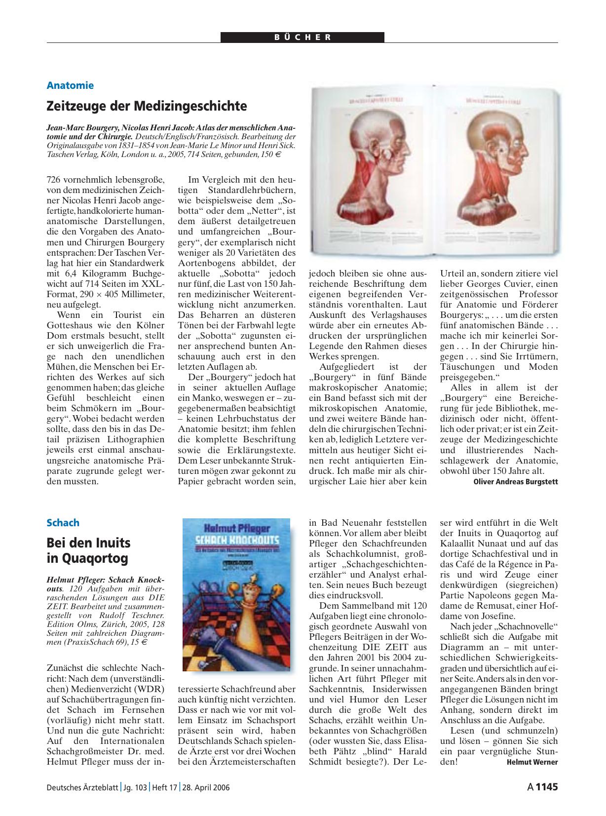 Vorschauseite 1: Schach Knockouts