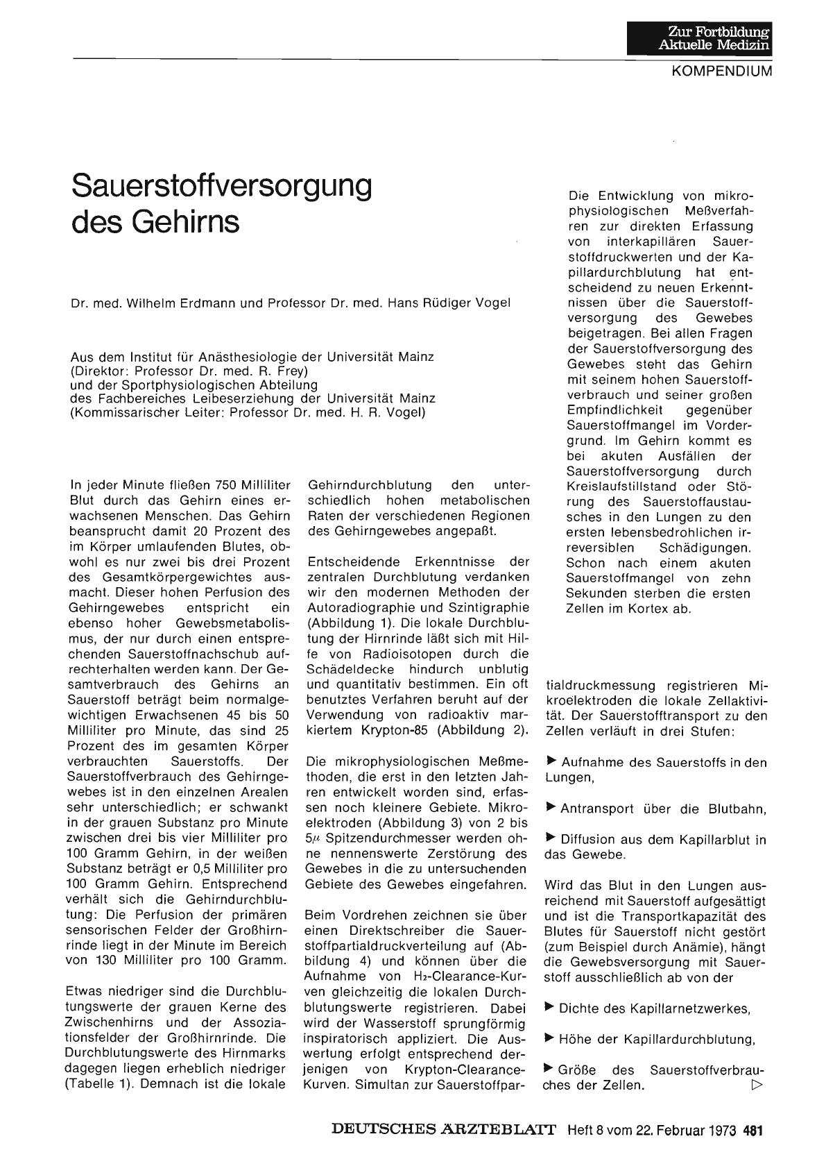 Vorschauseite 1: Sauerstoffversorgung des Gehirns
