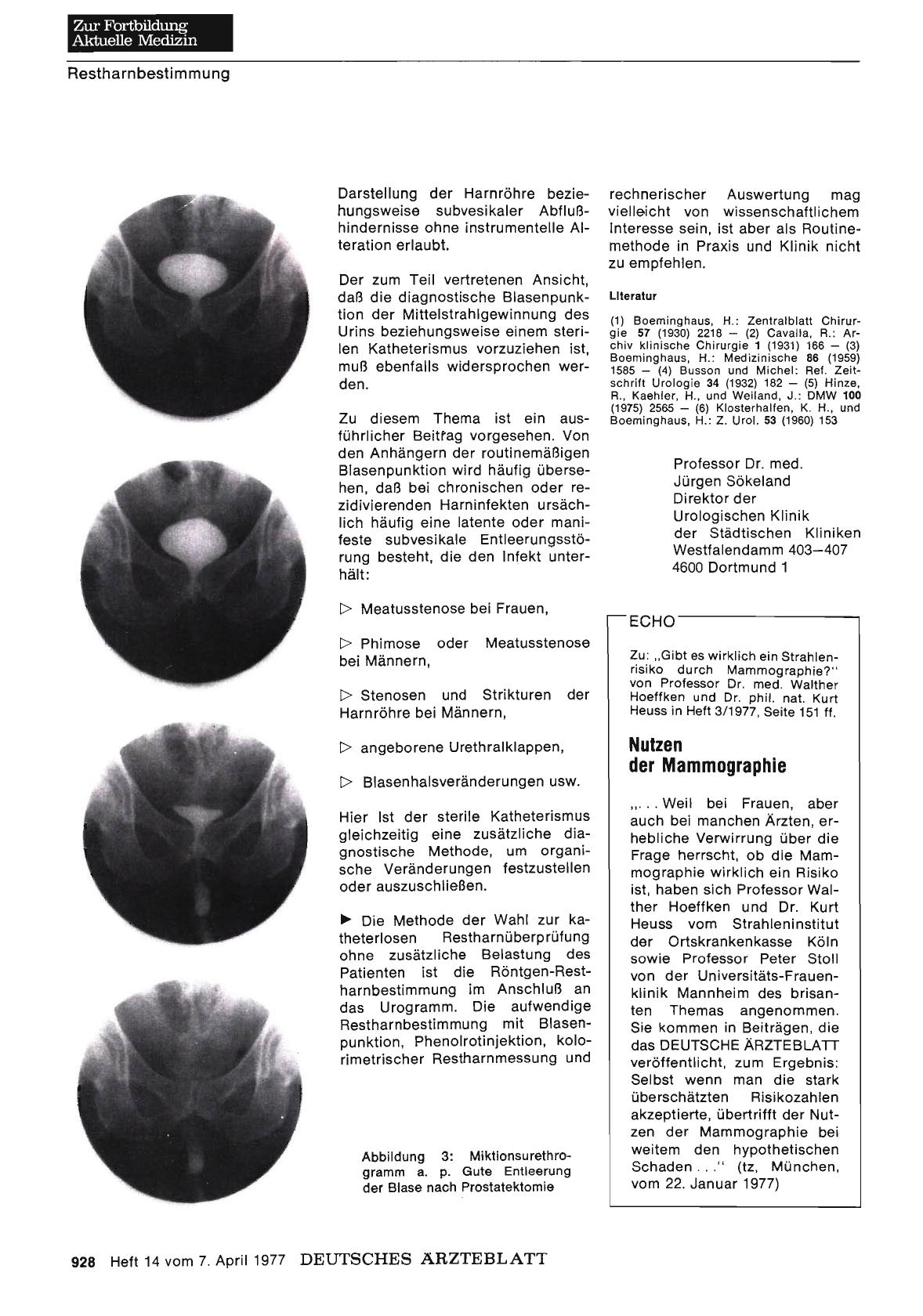 Vorschauseite 1: Nutzen der Mammographie