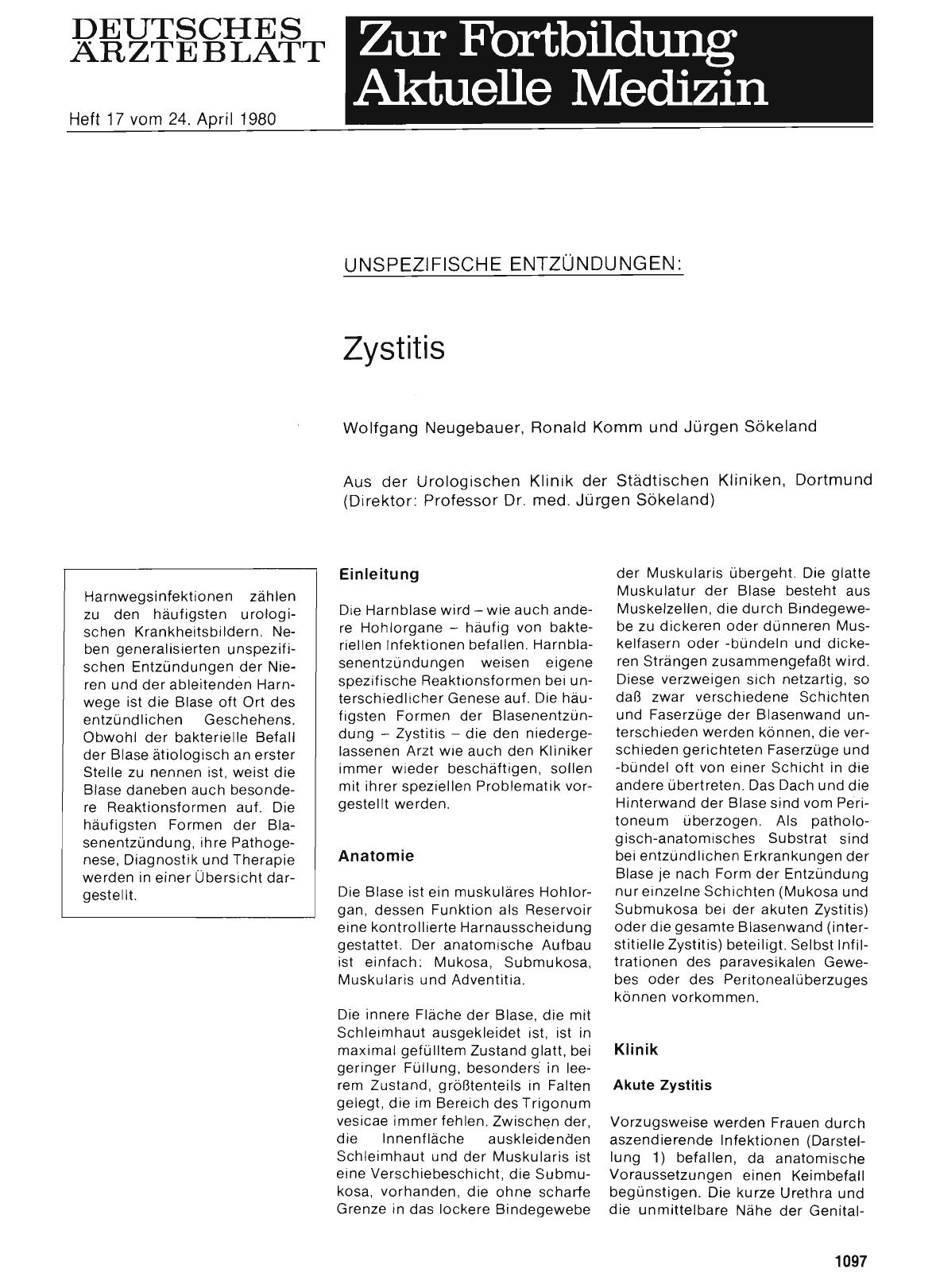 Vorschauseite 1: Unspezifische Entzündungen: Zystitis