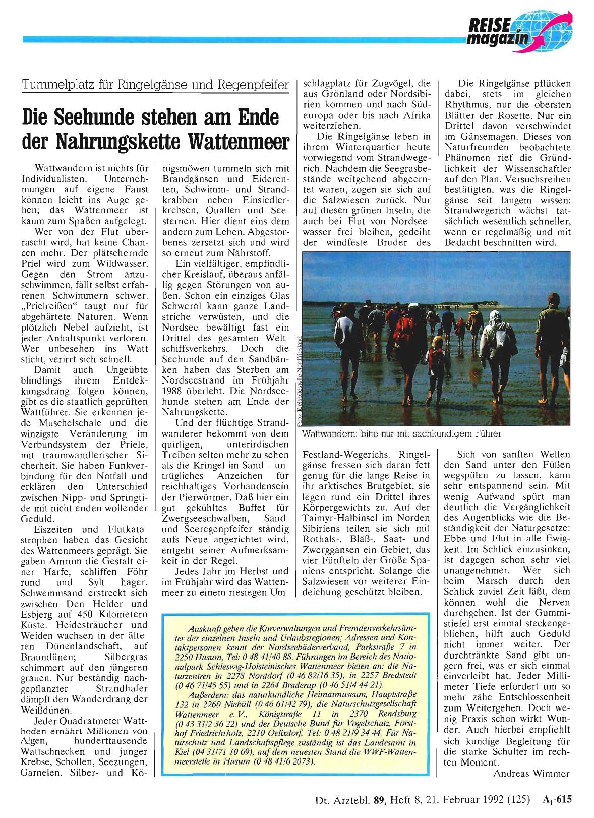 Vorschauseite 1: Tummelplatz für Ringelgänse und Regenpfeifer: Die Seehunde stehen am Ende der Nahrungskette Wattenmeer