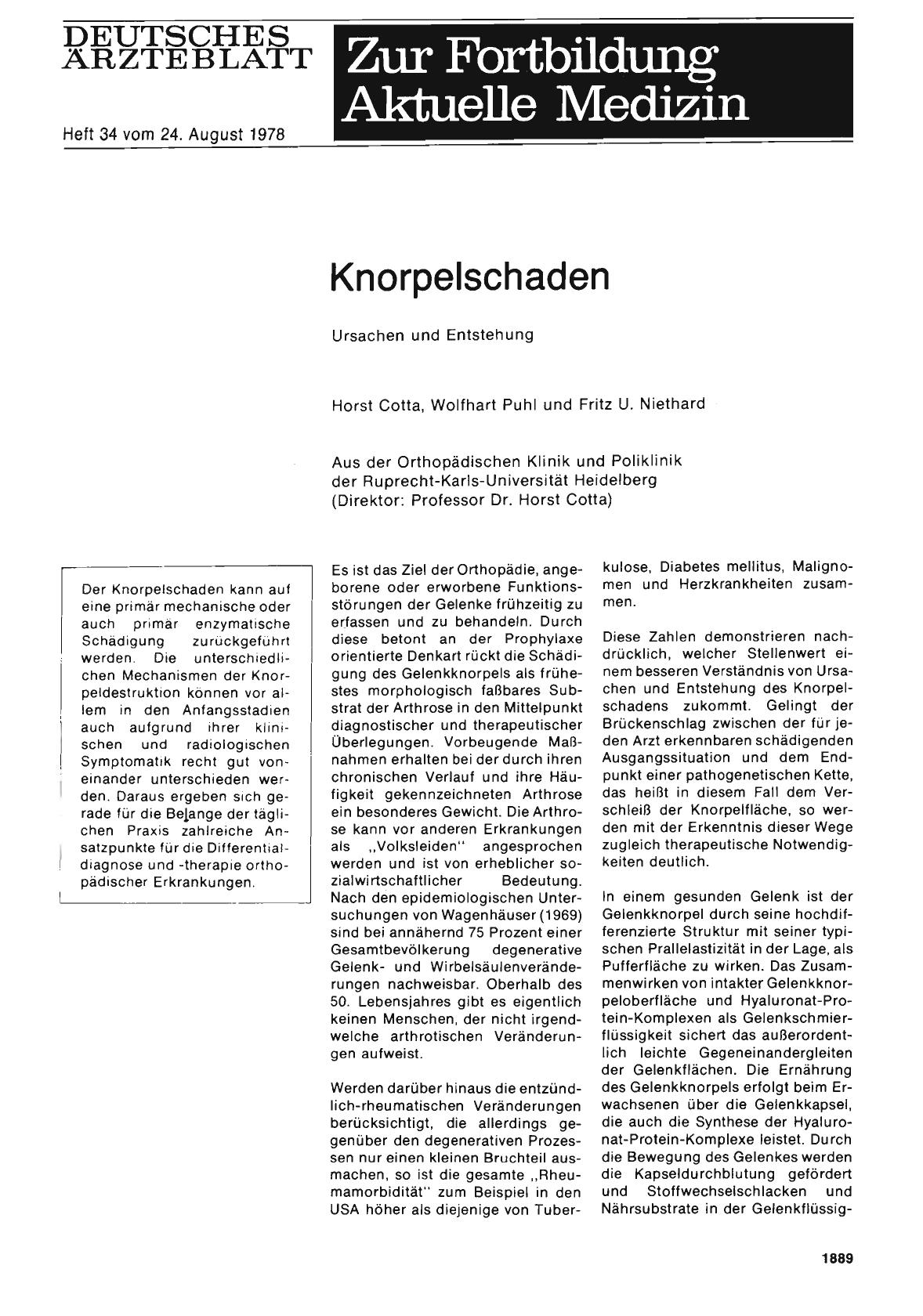 Vorschauseite 1: Knorpelschaden