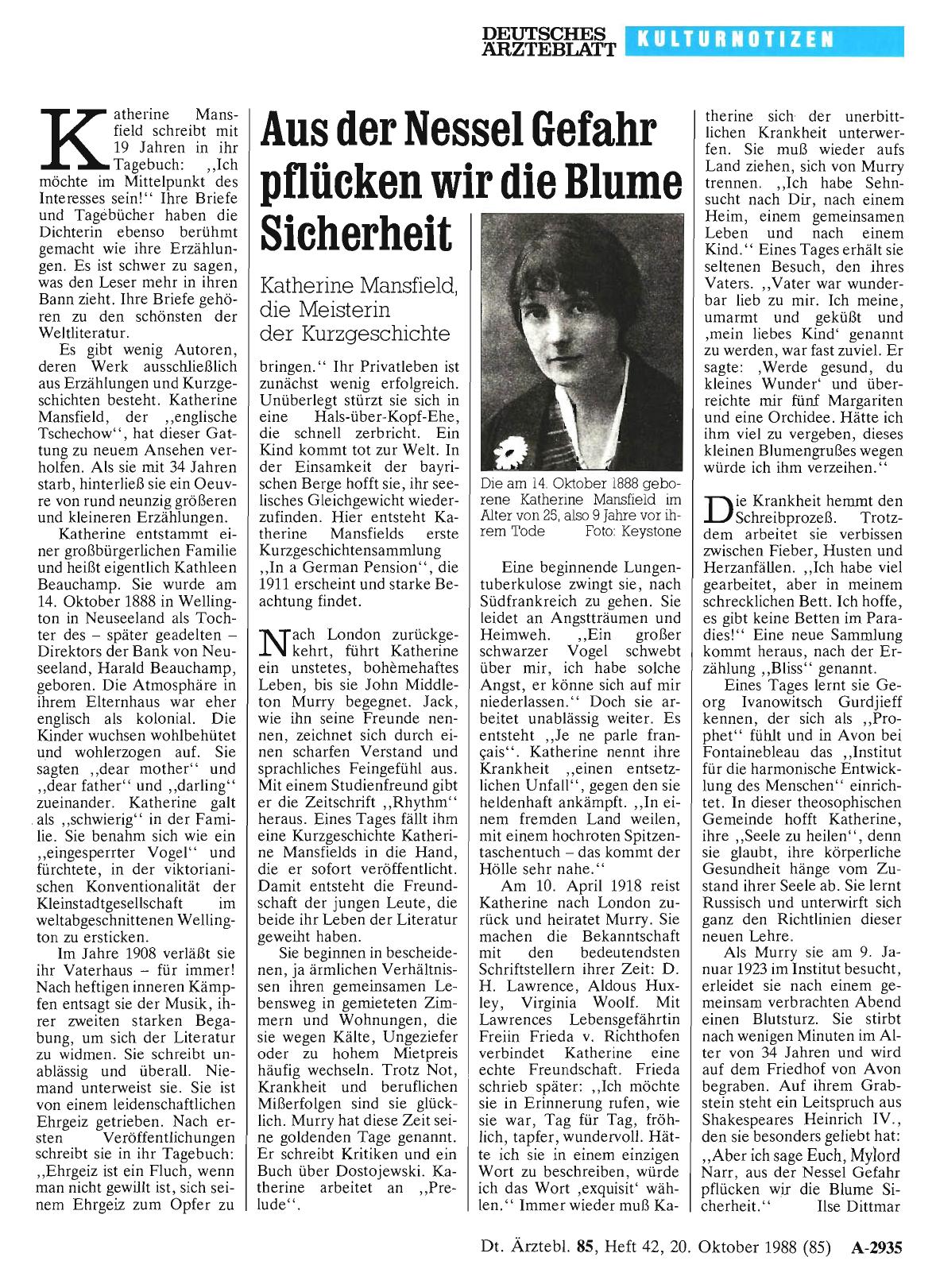 Vorschauseite 1: Aus der Nessel Gefahr pflücken wir die Blume Sicherheit