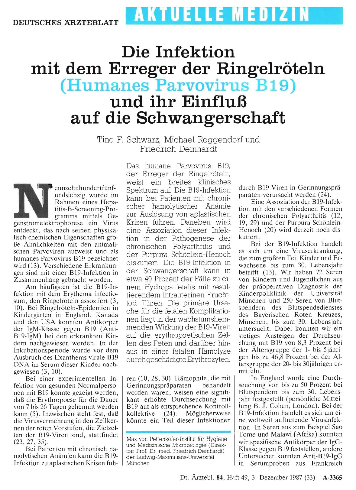 Vorschauseite 1: Die Infektion mit dem Erreger der Ringelröteln (Humanes Parvovirus B19) und ihr Einfluß auf die Schwangerschaft