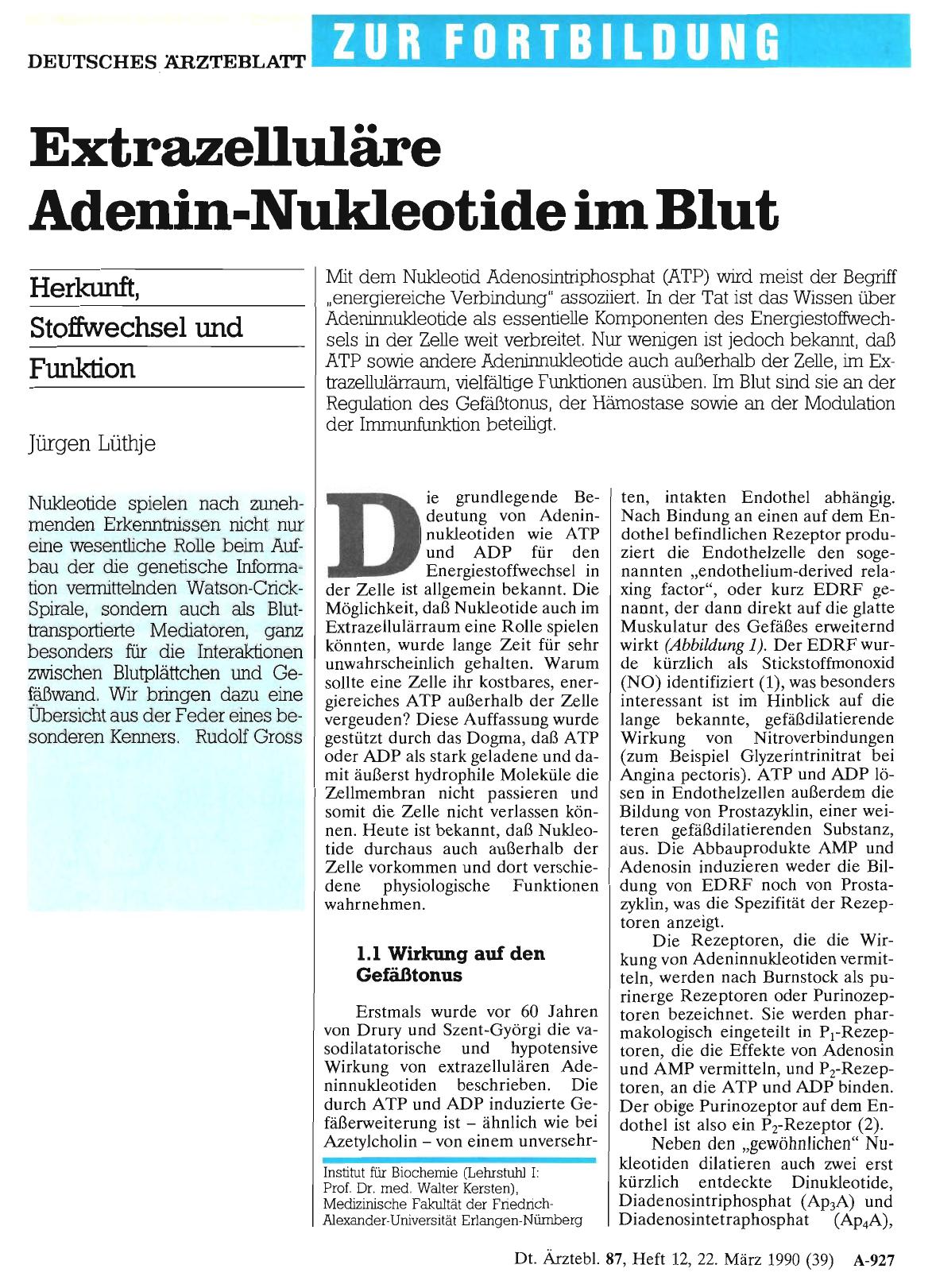 Vorschauseite 1: Extrazelluläre Adenin-Nukleotide im Blut: Herkunft, Stoffwechsel und Funktion