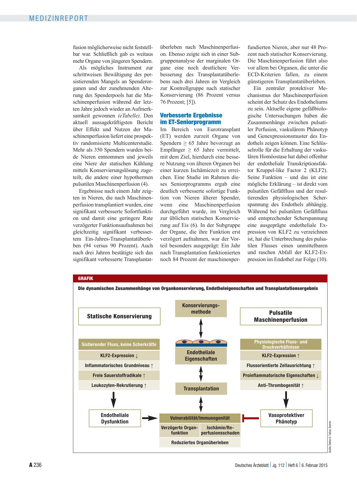 Vorschauseite 2: Konservierungsmethoden von Organen für die Transplantation: Organqualität lässt sich verbessern