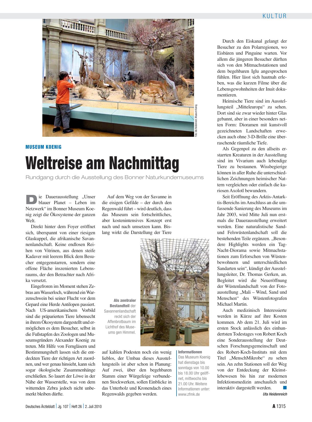 Vorschauseite 1: Museum Koenig: Weltreise am Nachmittag