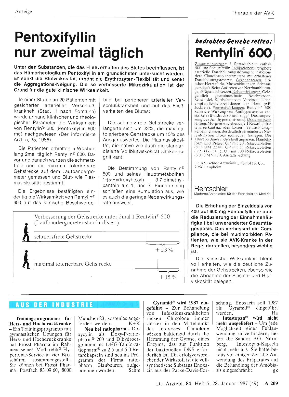 Vorschauseite 1: Gyramid® wird 1987 eingeführt