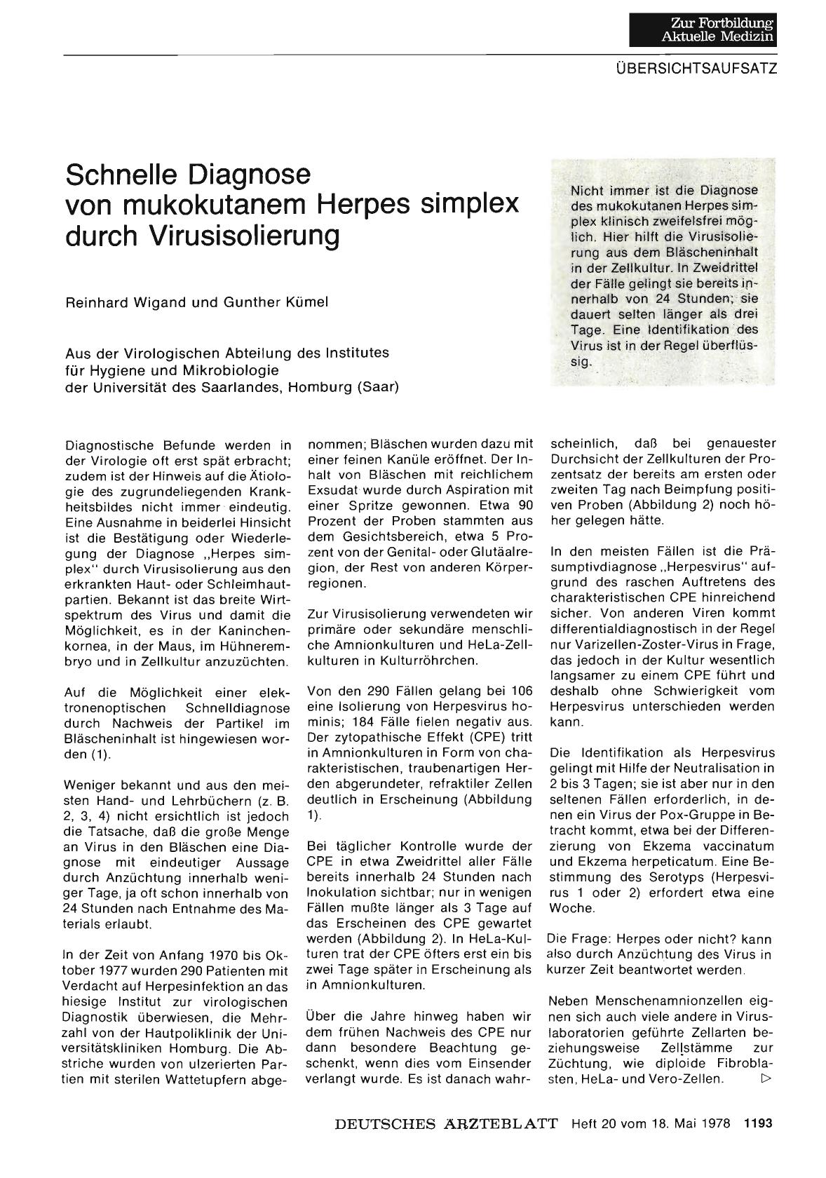 Vorschauseite 1: Schnelle Diagnose von mukokutanem Herpes simplex durch Virusisolierung
