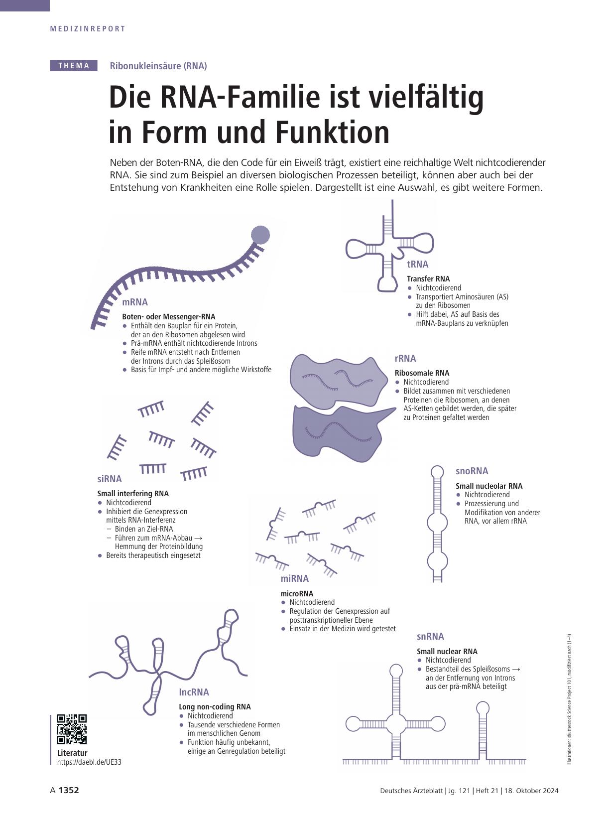 Vorschauseite 1: Ribonukleinsäure (RNA): Die RNA-Familie ist vielfältig in Form und Funktion.