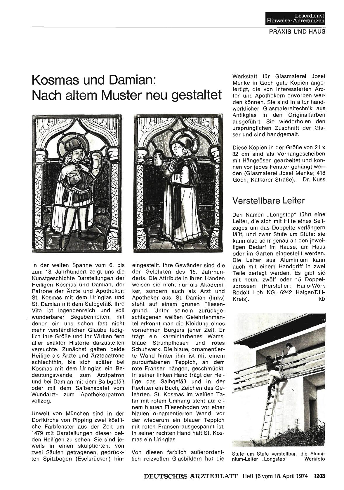 Vorschauseite 1: Verstellbare Leiter