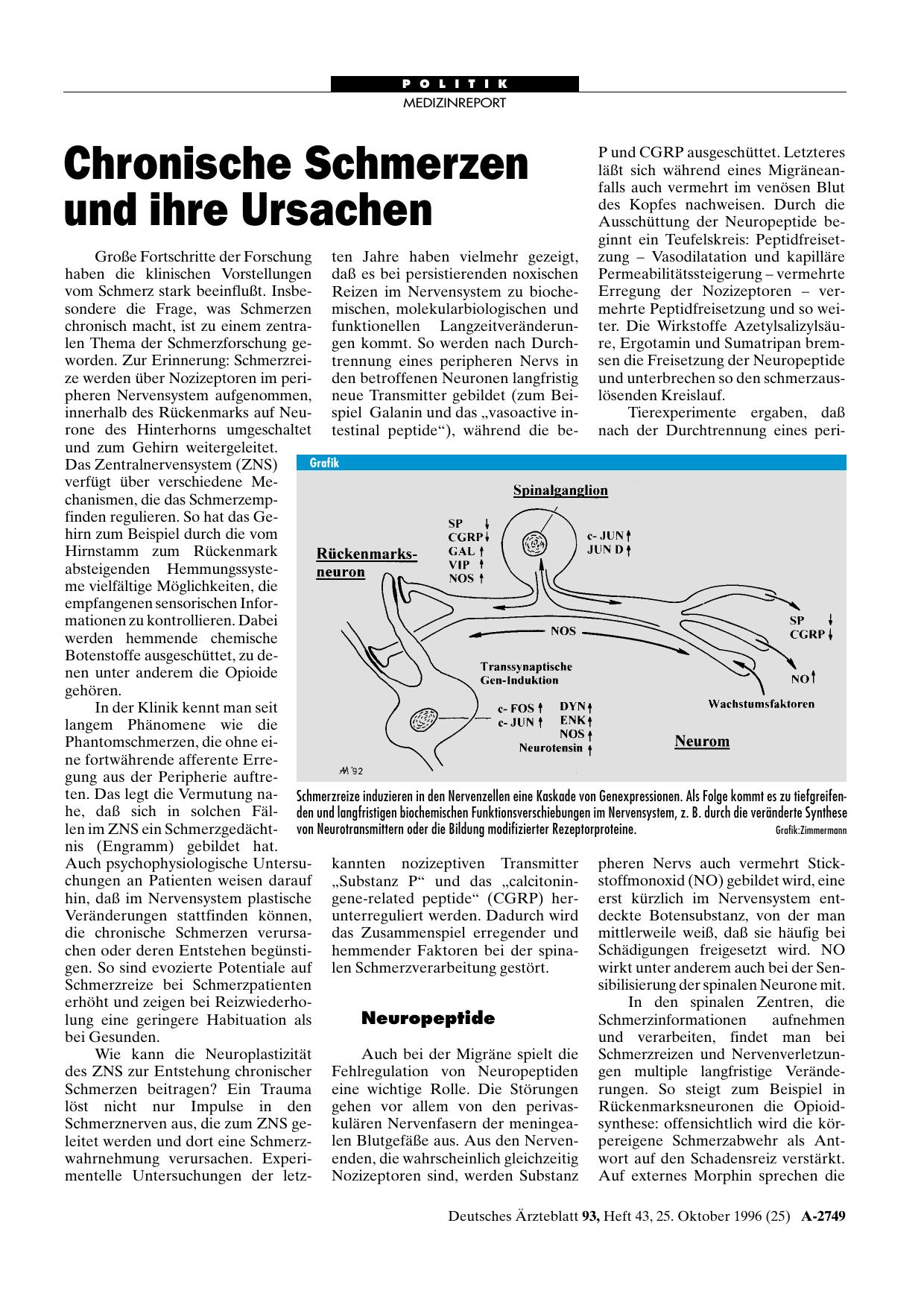 Vorschauseite 1: Chronische Schmerzen und ihre Ursachen