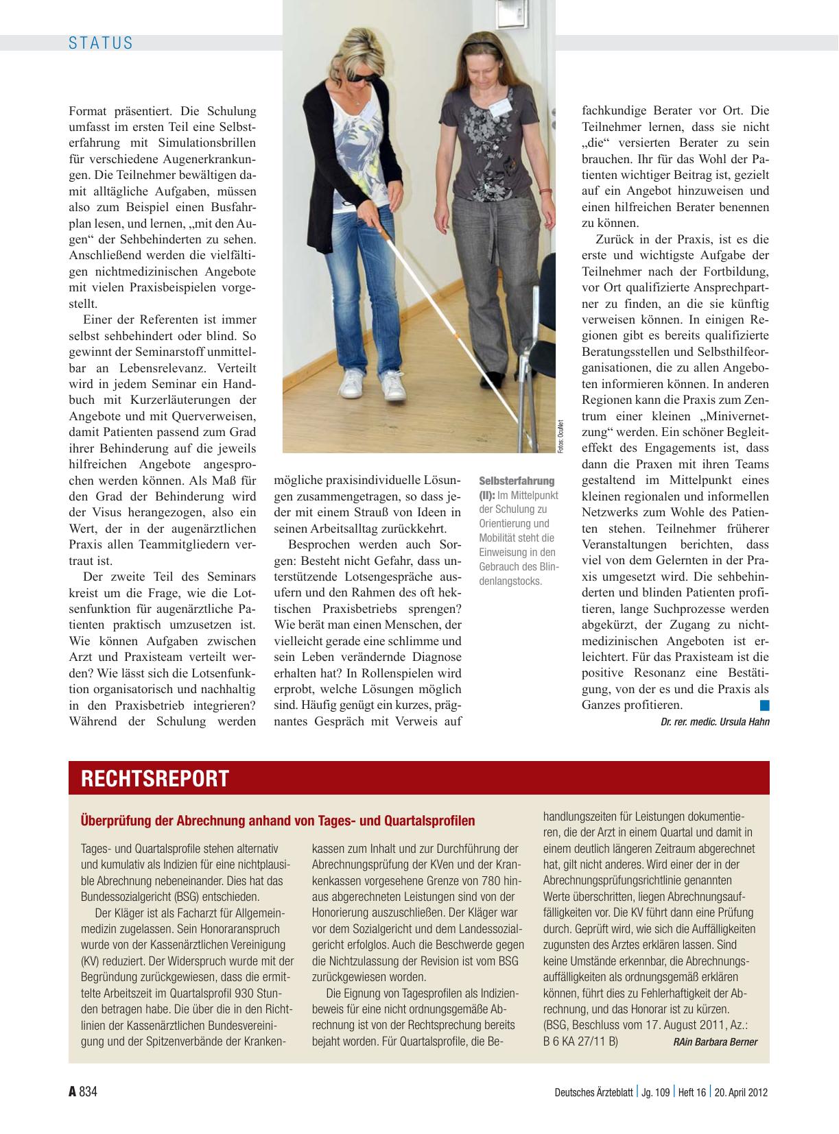 Vorschauseite 1: Überprüfung der Abrechnung anhand von Tagesund Quartalsprofilen