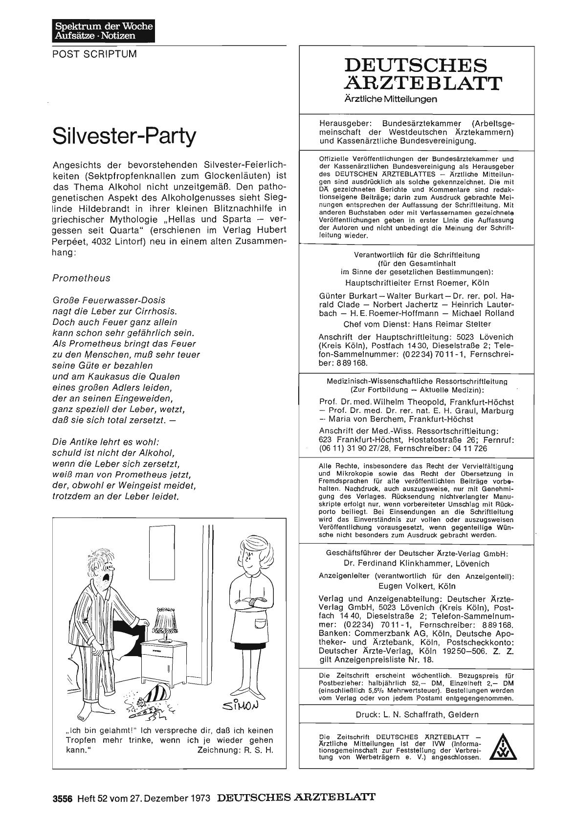 Vorschauseite 1: Silvester-Party