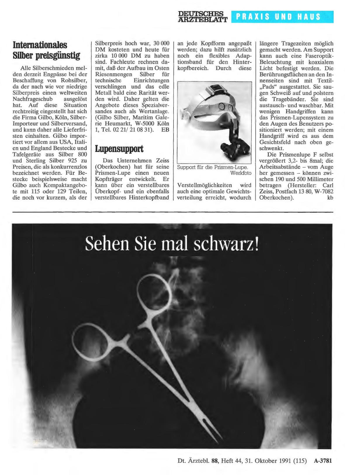 Vorschauseite 1: Lupensupport