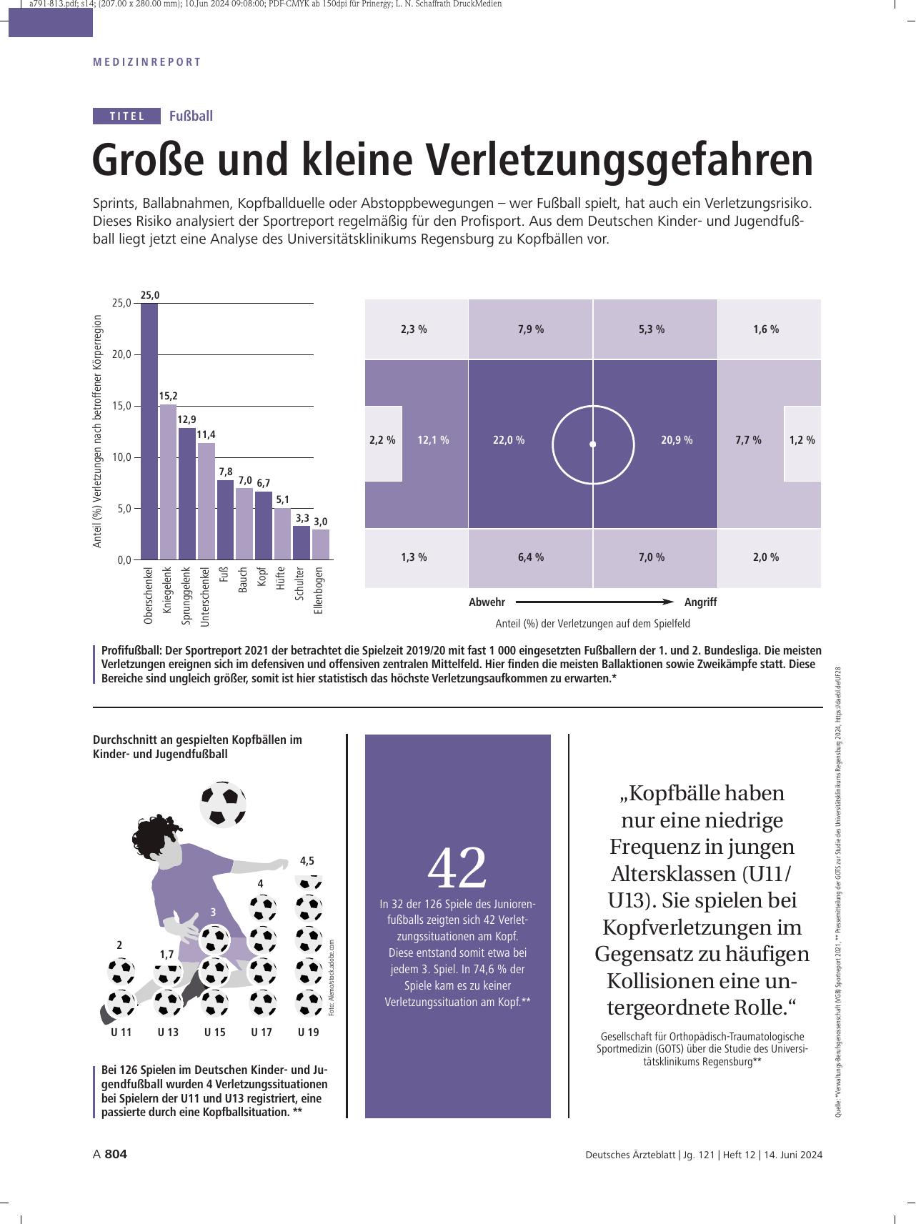 Vorschauseite 1: Fußball: Große und kleine Verletzungsgefahren