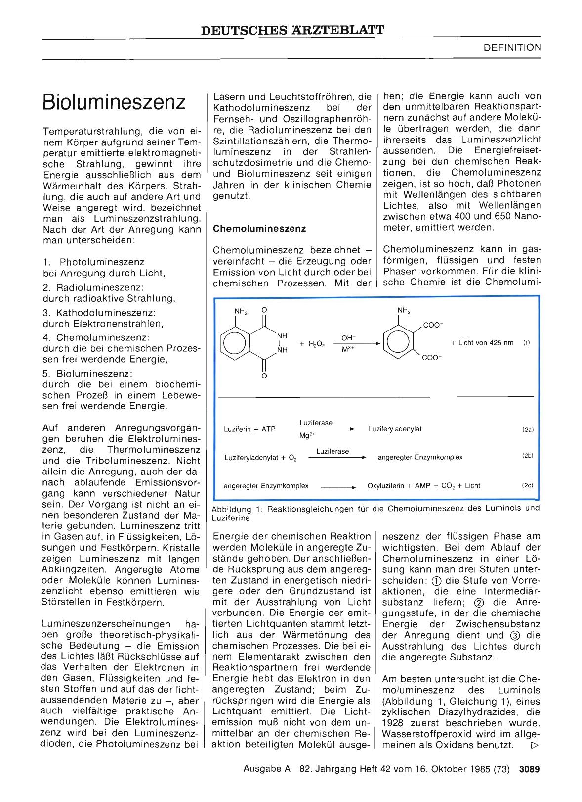 Vorschauseite 1: Biolumineszenz