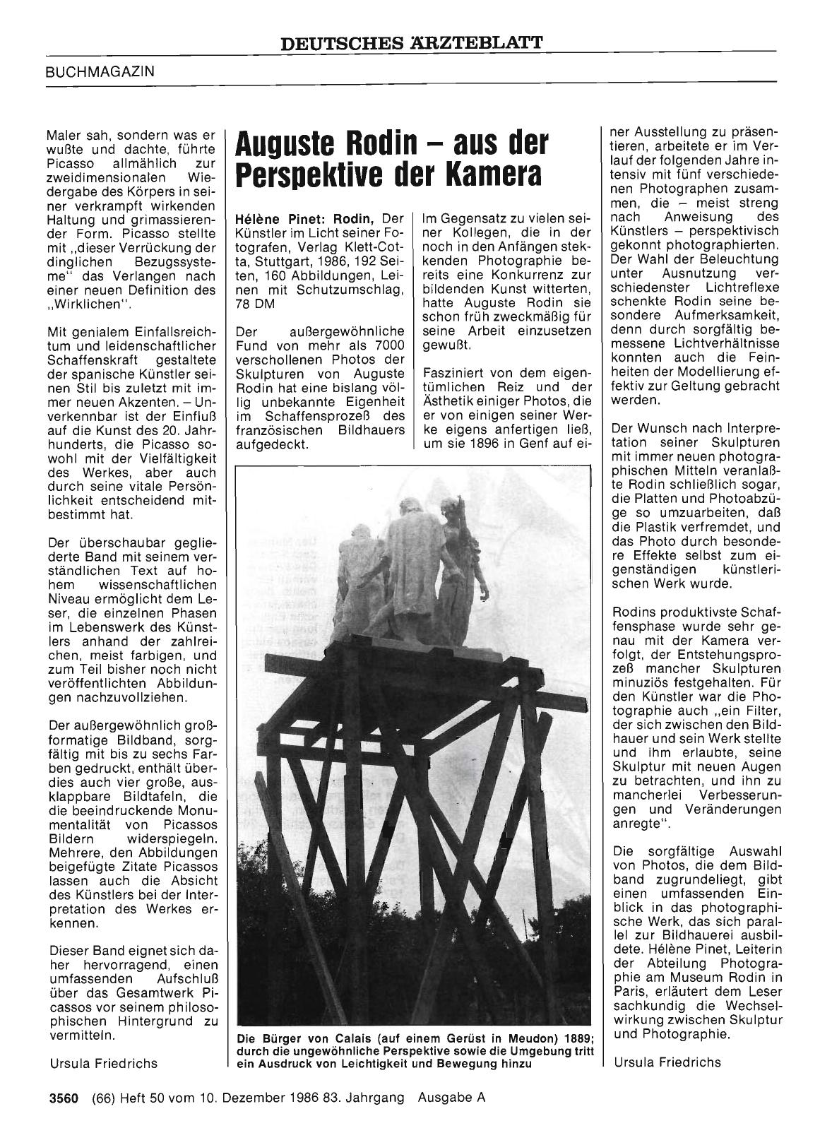 Vorschauseite 1: Auguste Rodin aus der Perspektive der Kamera
