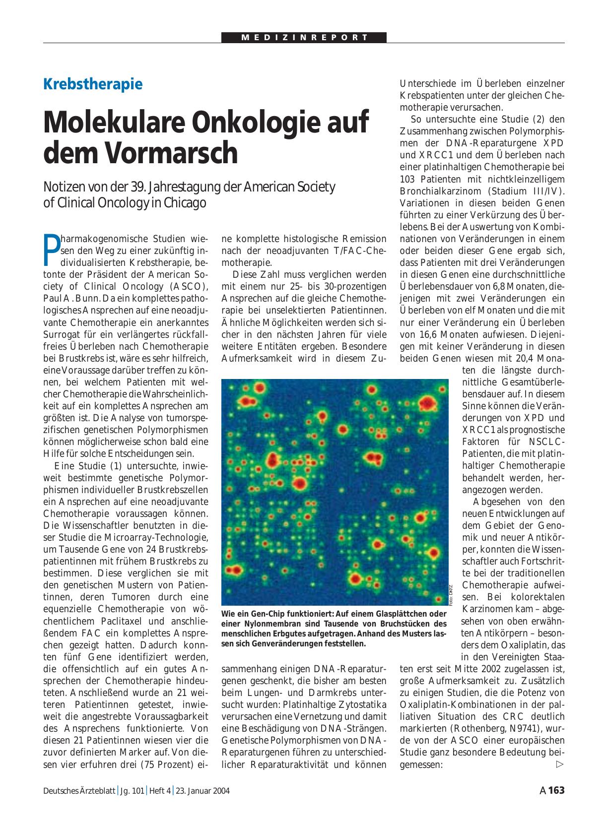 Vorschauseite 1: Krebstherapie: Molekulare Onkologie auf dem Vormarsch