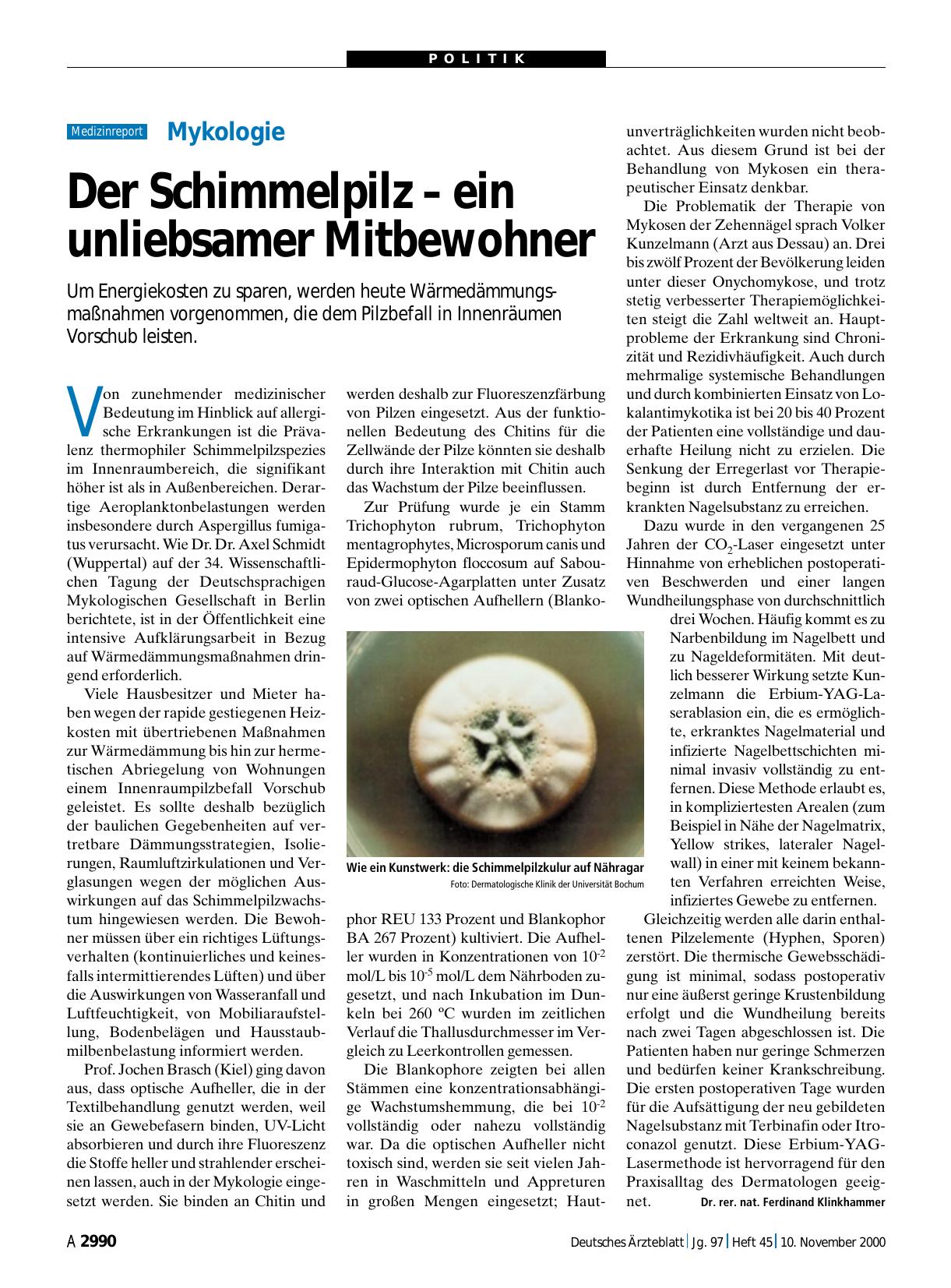 Vorschauseite 1: Mykologie: Der Schimmelpilz – ein unliebsamer Mitbewohner