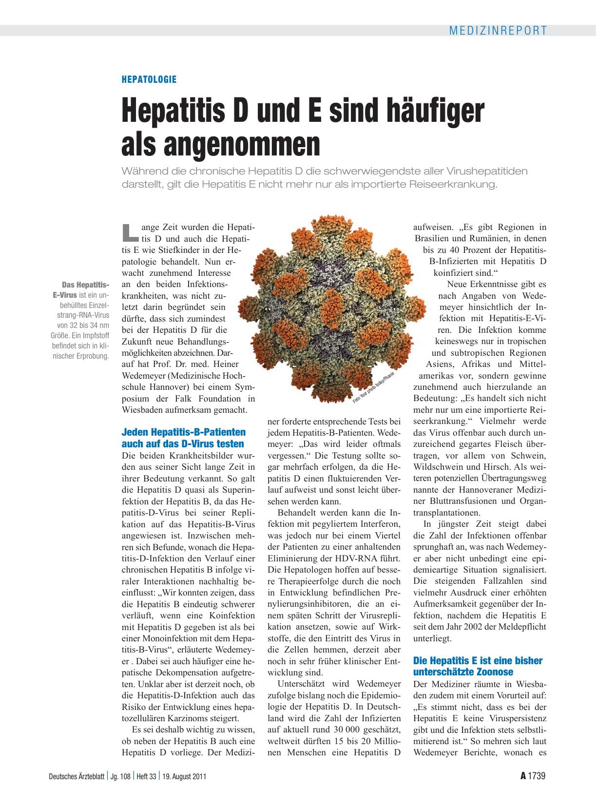 Vorschauseite 1: Hepatologie: Hepatitis D und E sind häufiger als angenommen