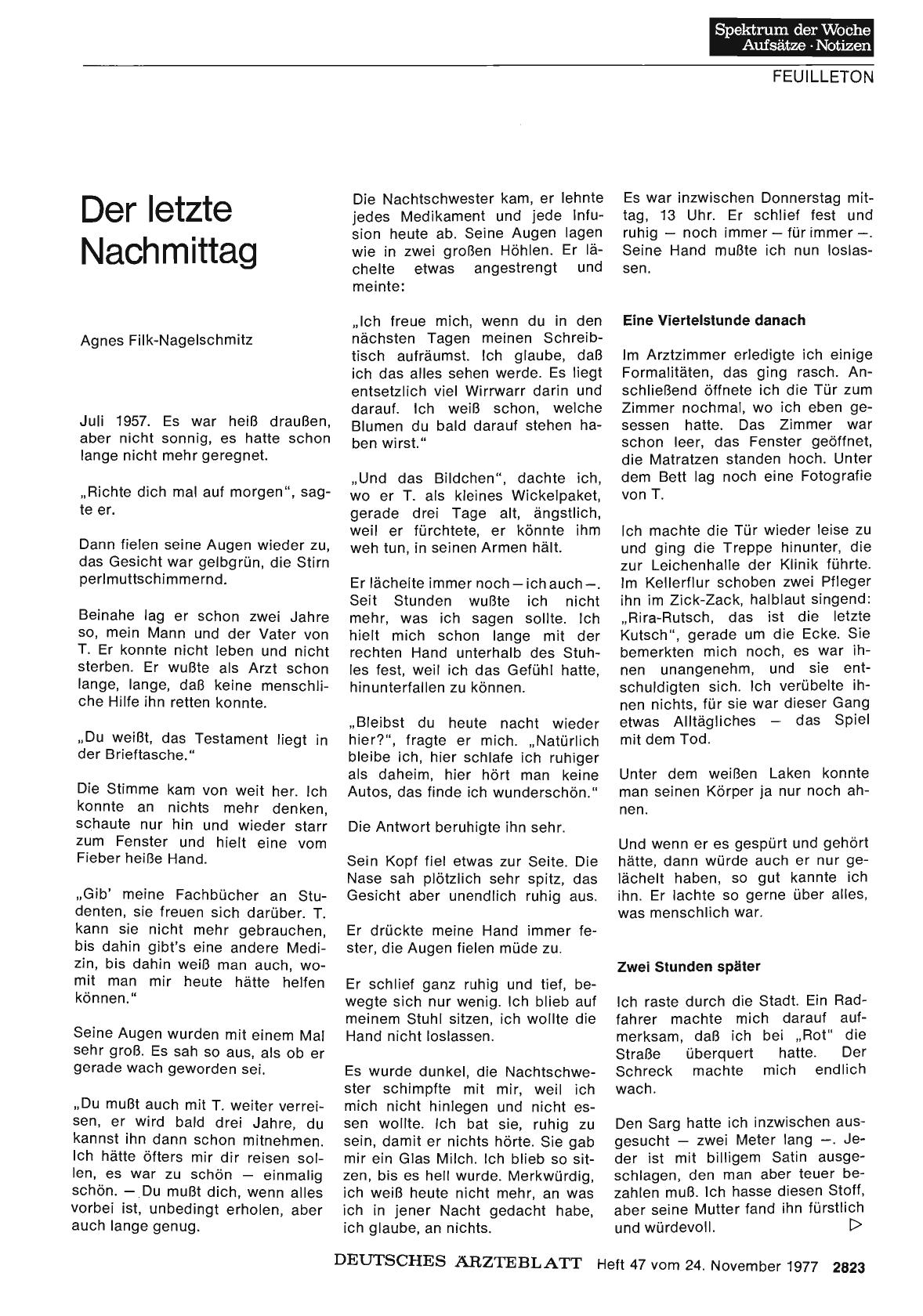 Vorschauseite 1: Der letzte Nachmittag