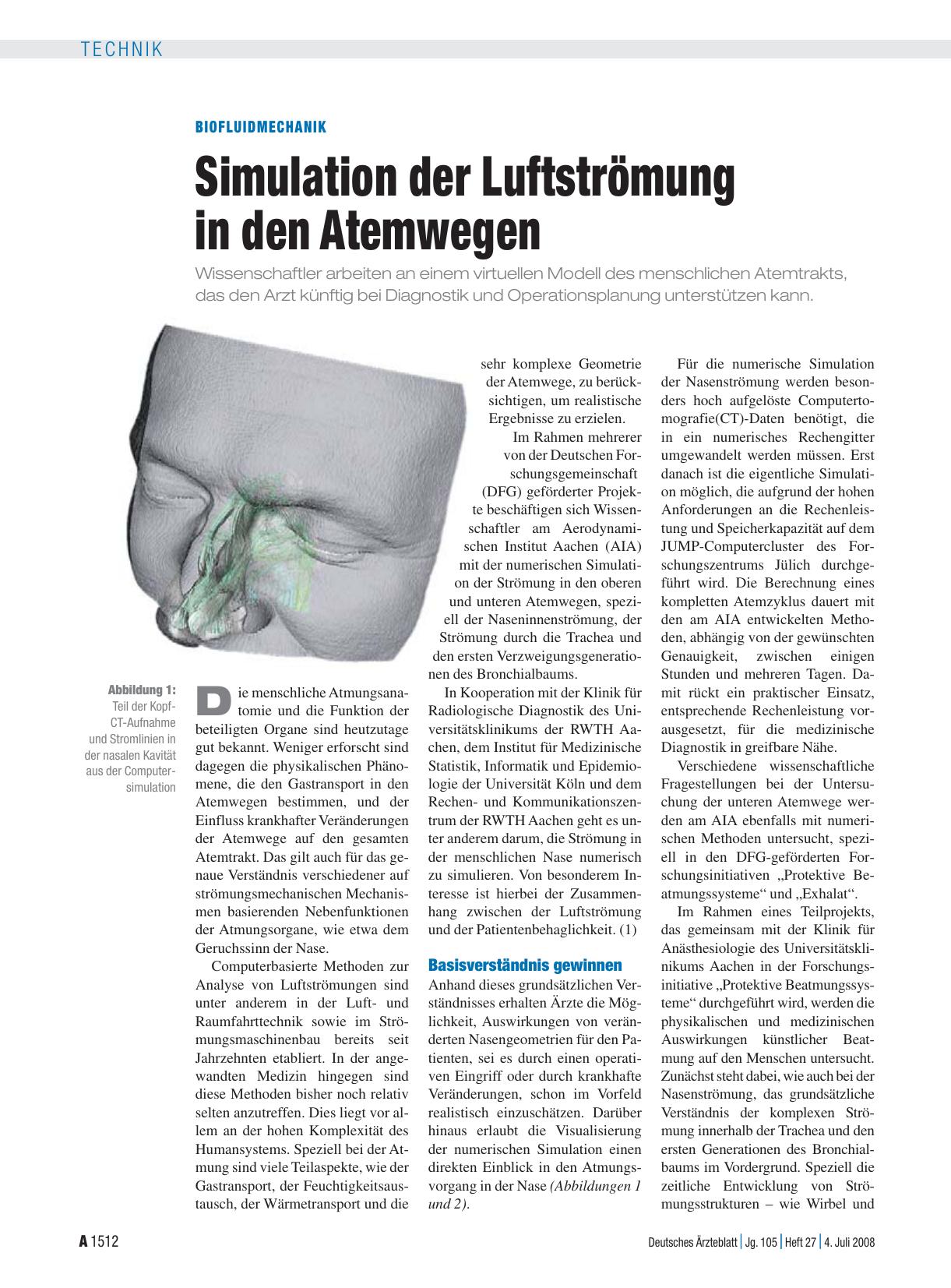 Vorschauseite 1: Biofluidmechanik: Simulation der Luftströmung in den Atemwegen