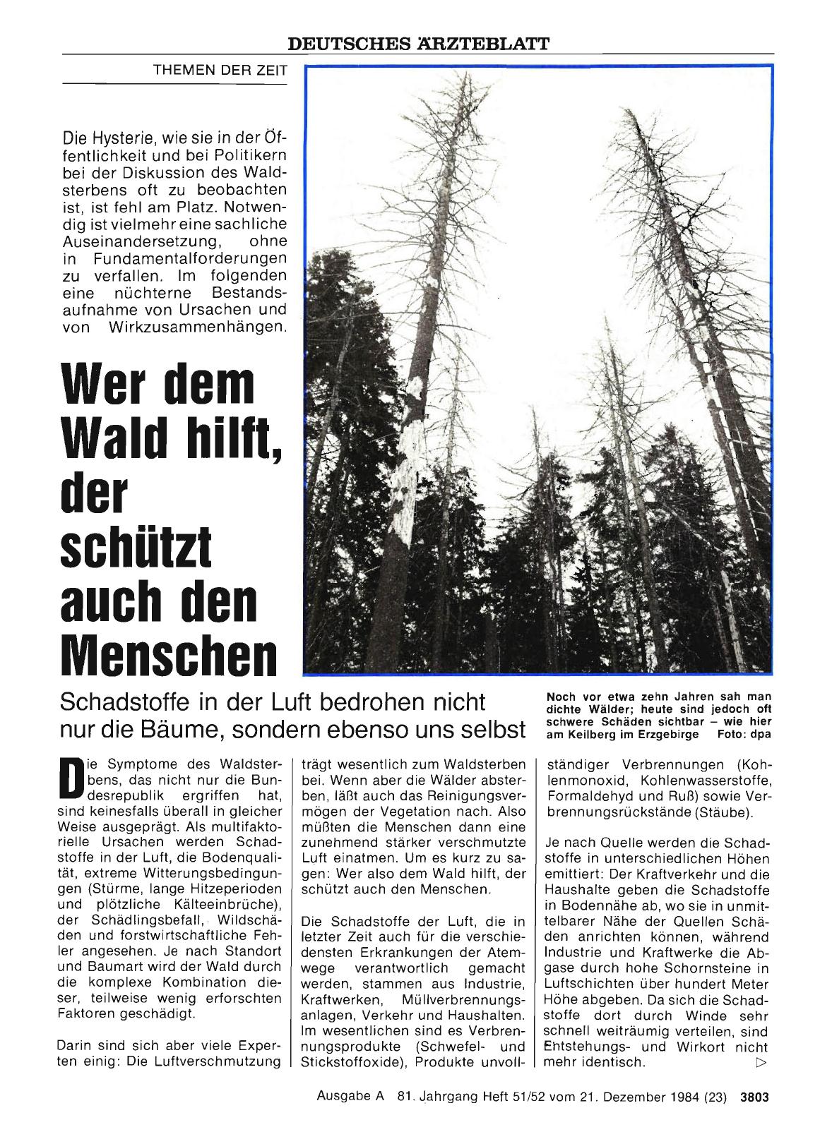 Vorschauseite 1: Wer dem Wald hilft, der schützt auch den Menschen