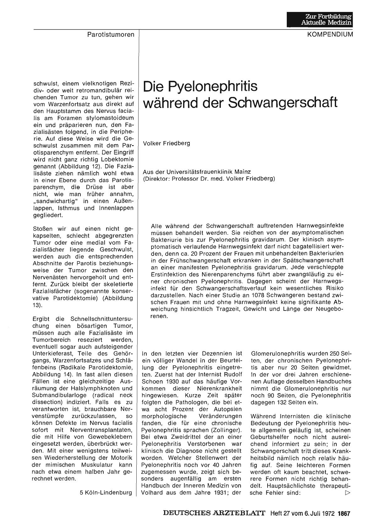 Vorschauseite 1: Die Pyelonephritis während der Schwangerschaft