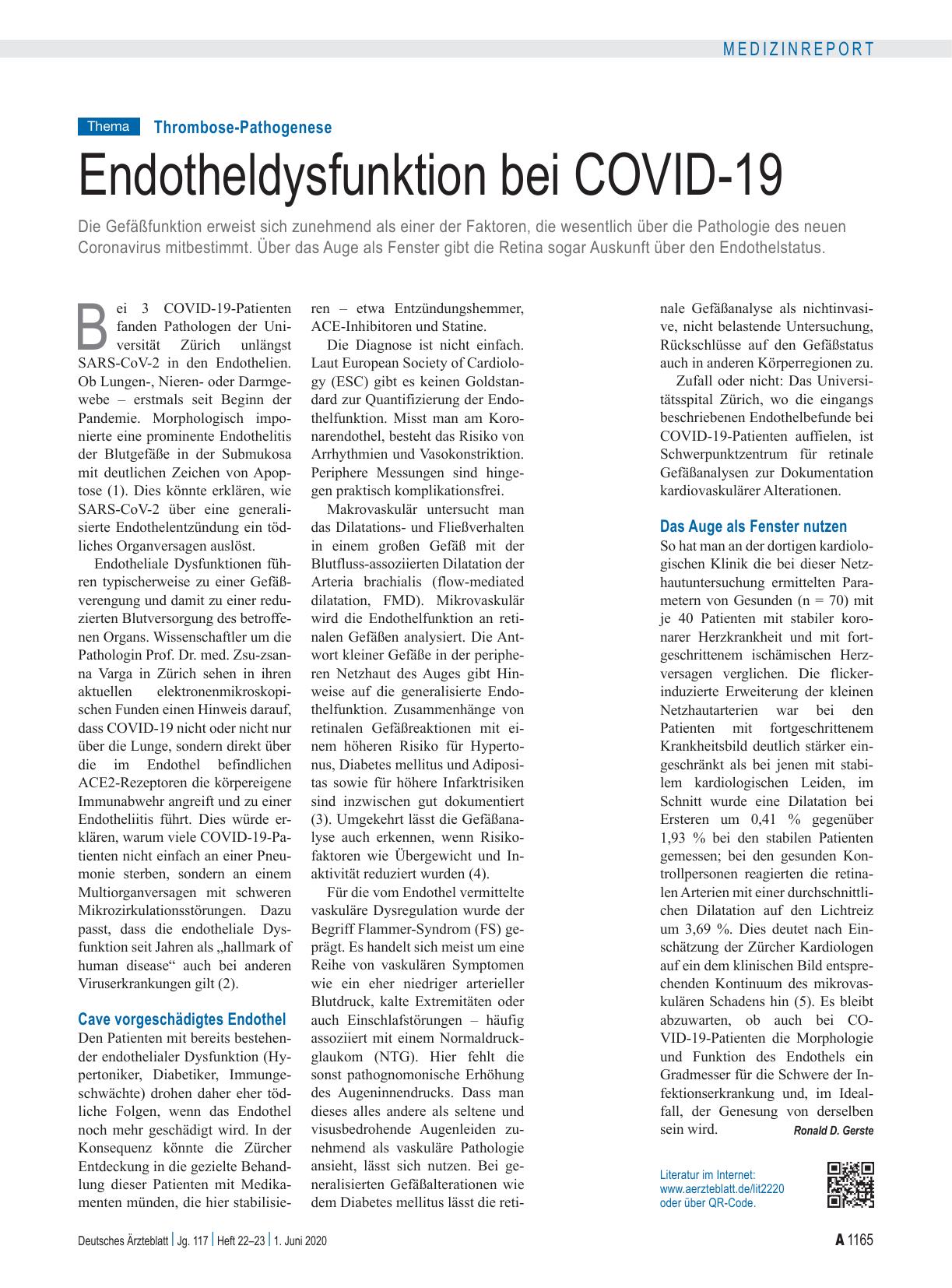 Vorschauseite 1: Thrombose-Pathogenese: Endotheldysfunktion bei COVID-19