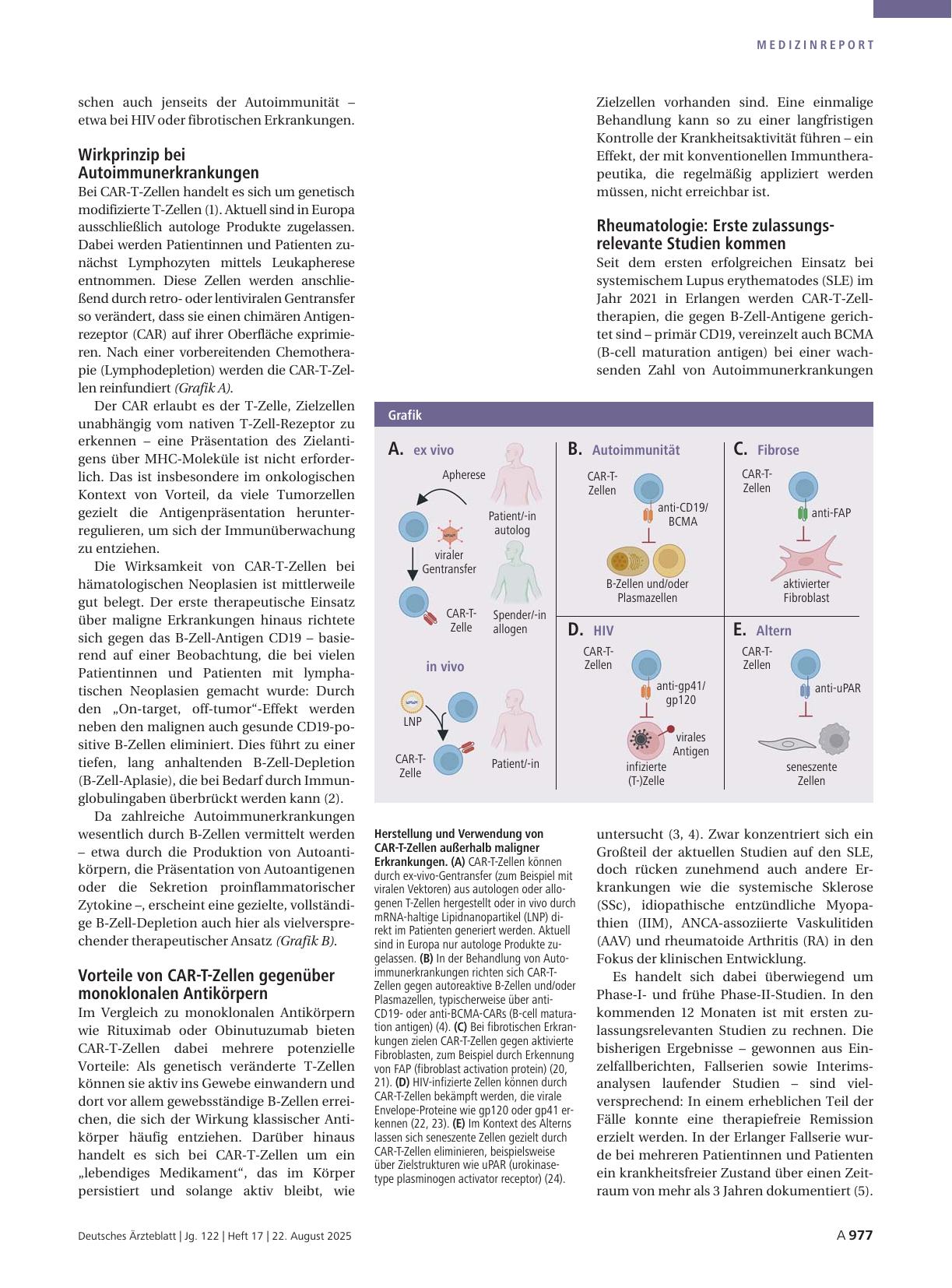 Vorschauseite 2: Autoimmunerkrankungen, HIV, Fibrose und Alter: CAR-T-Zellen jenseits maligner Erkrankungen