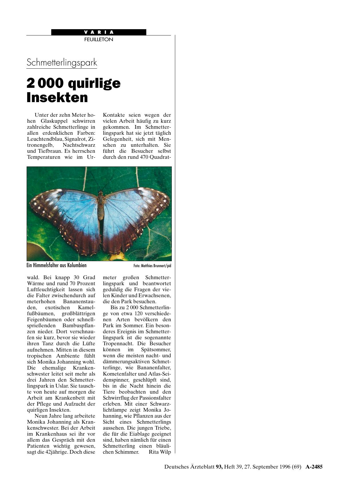 Vorschauseite 1: Schmetterlingspark: 2 000 quirlige Insekten