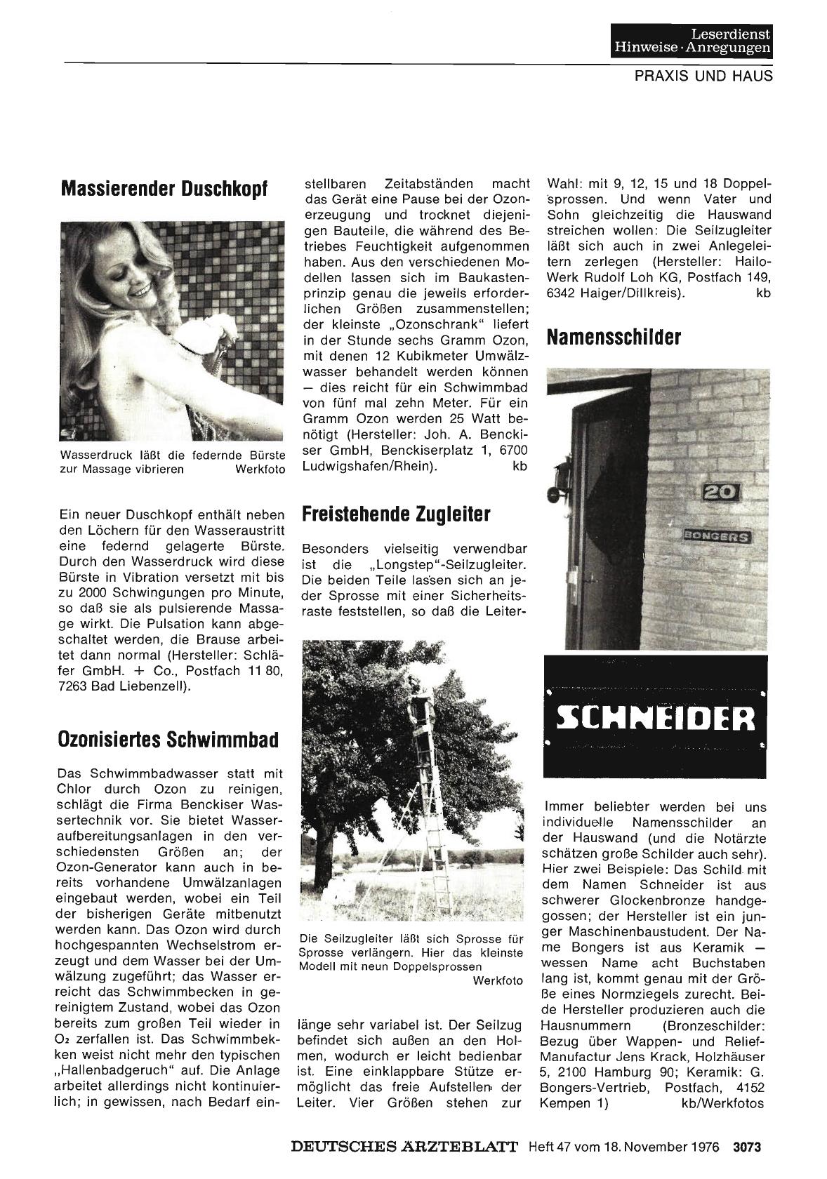 Vorschauseite 1: Freistehende Zugleiter