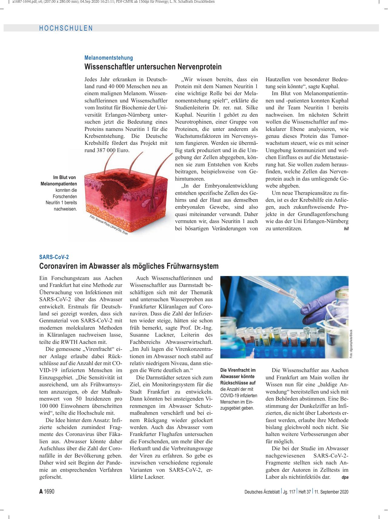 Vorschauseite 1: Melanomentstehung: Wissenschaftler untersuchen Nervenprotein