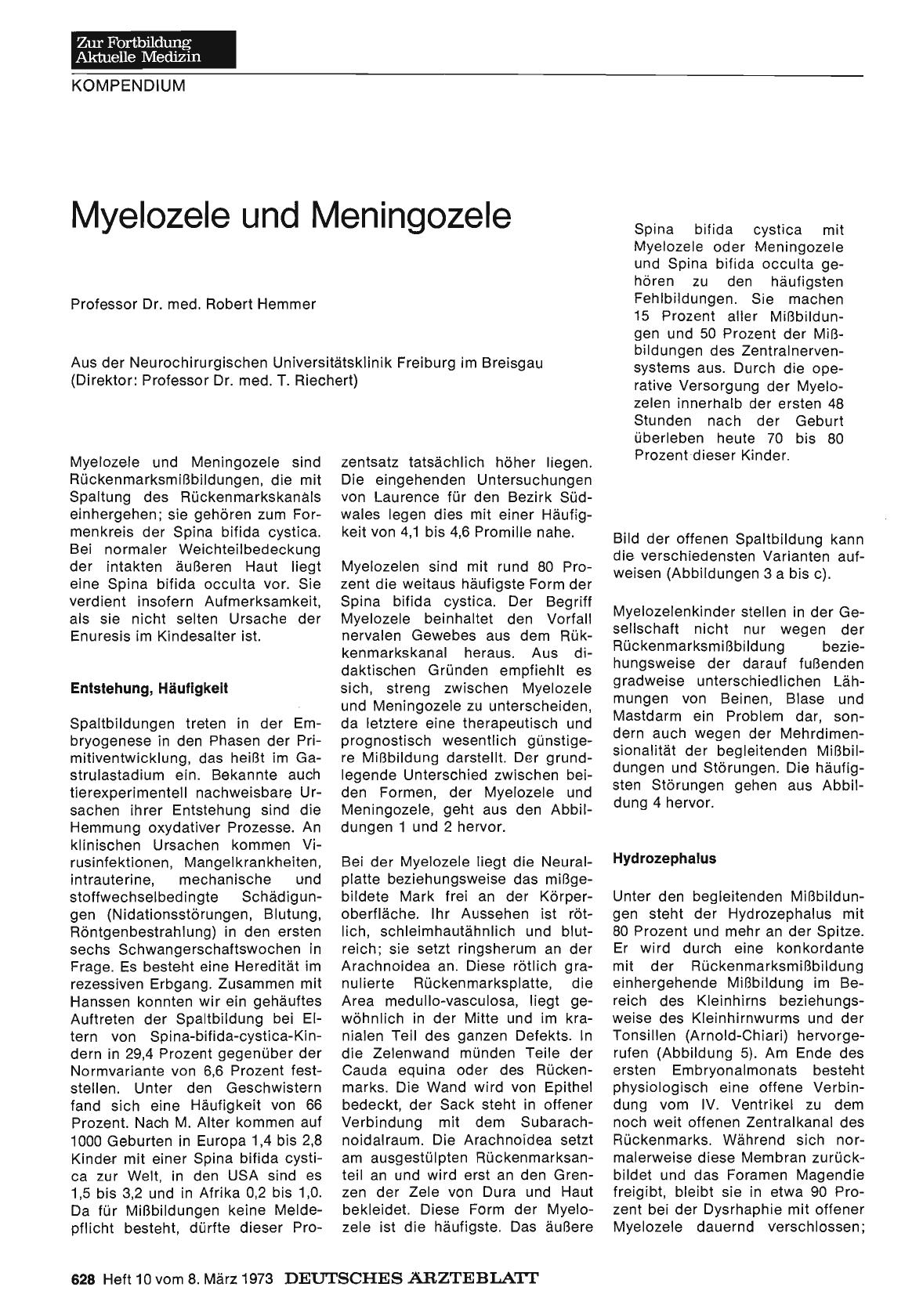 Vorschauseite 1: Myelozele und Meningozele