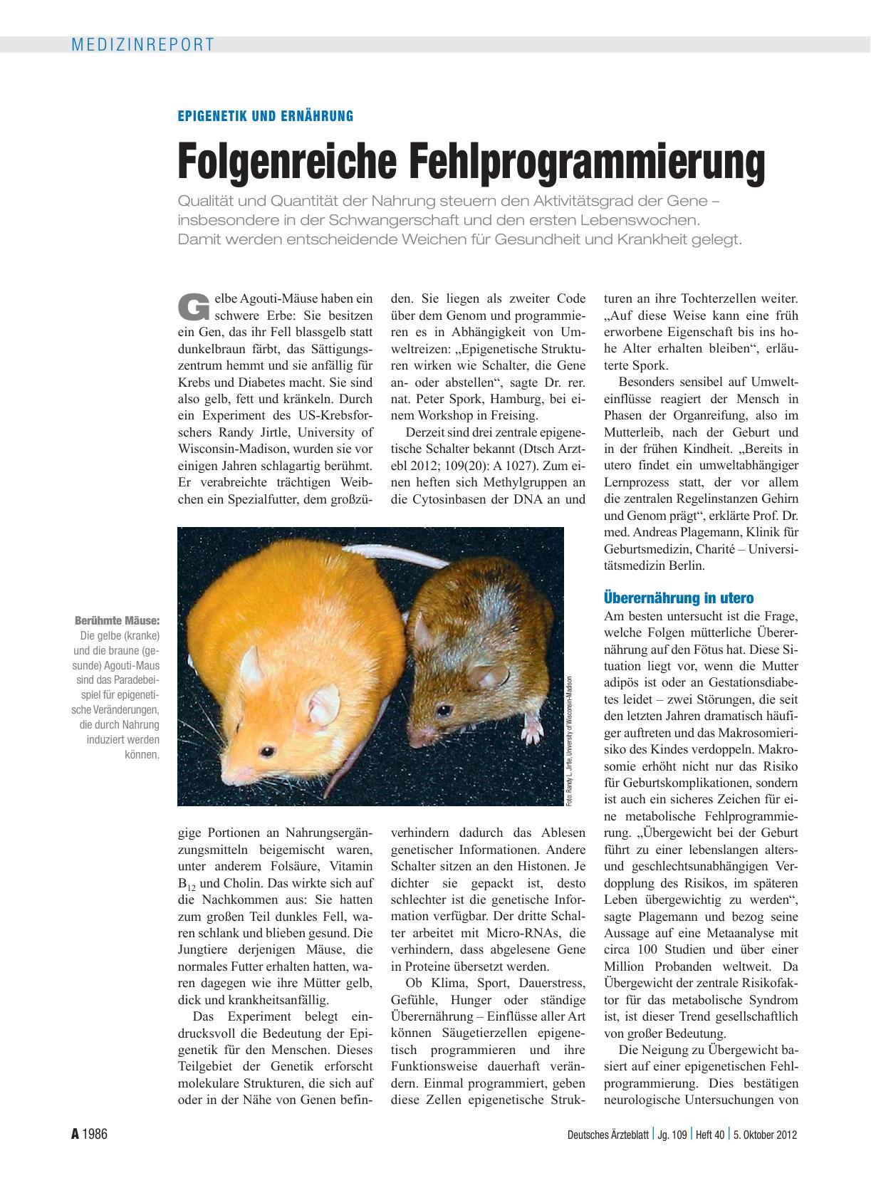 Vorschauseite 1: Epigenetik und Ernährung: Folgenreiche Fehlprogrammierung